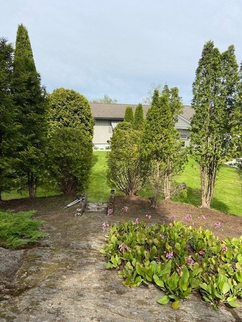 Sommeridyll i Tverrvegen 19. Selgers eget bilde Galleribilde