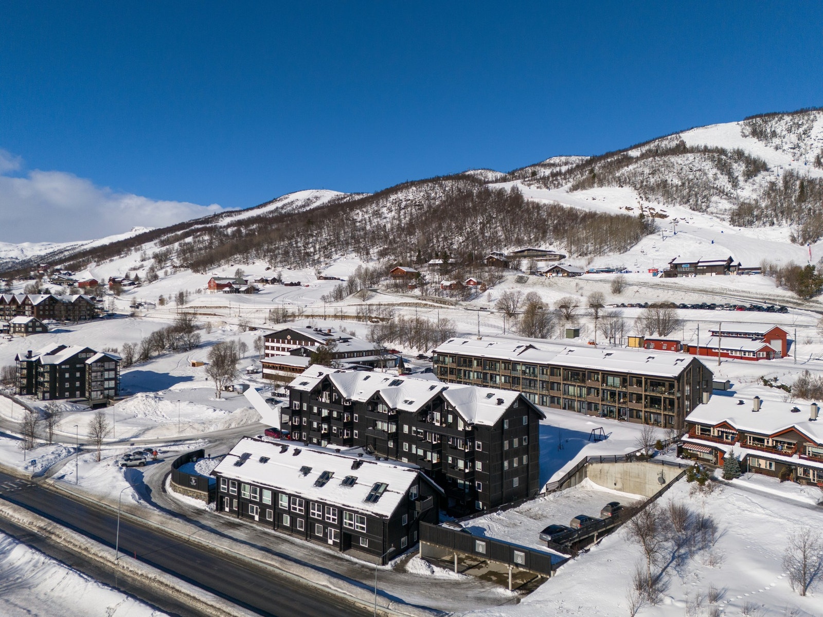 Eiendomsmegler Jannike Seljevoll Herleiksplass har gleden av å presentere Gjeilegutu 1! (Foto: Terje Bjørnsen) Galleribilde