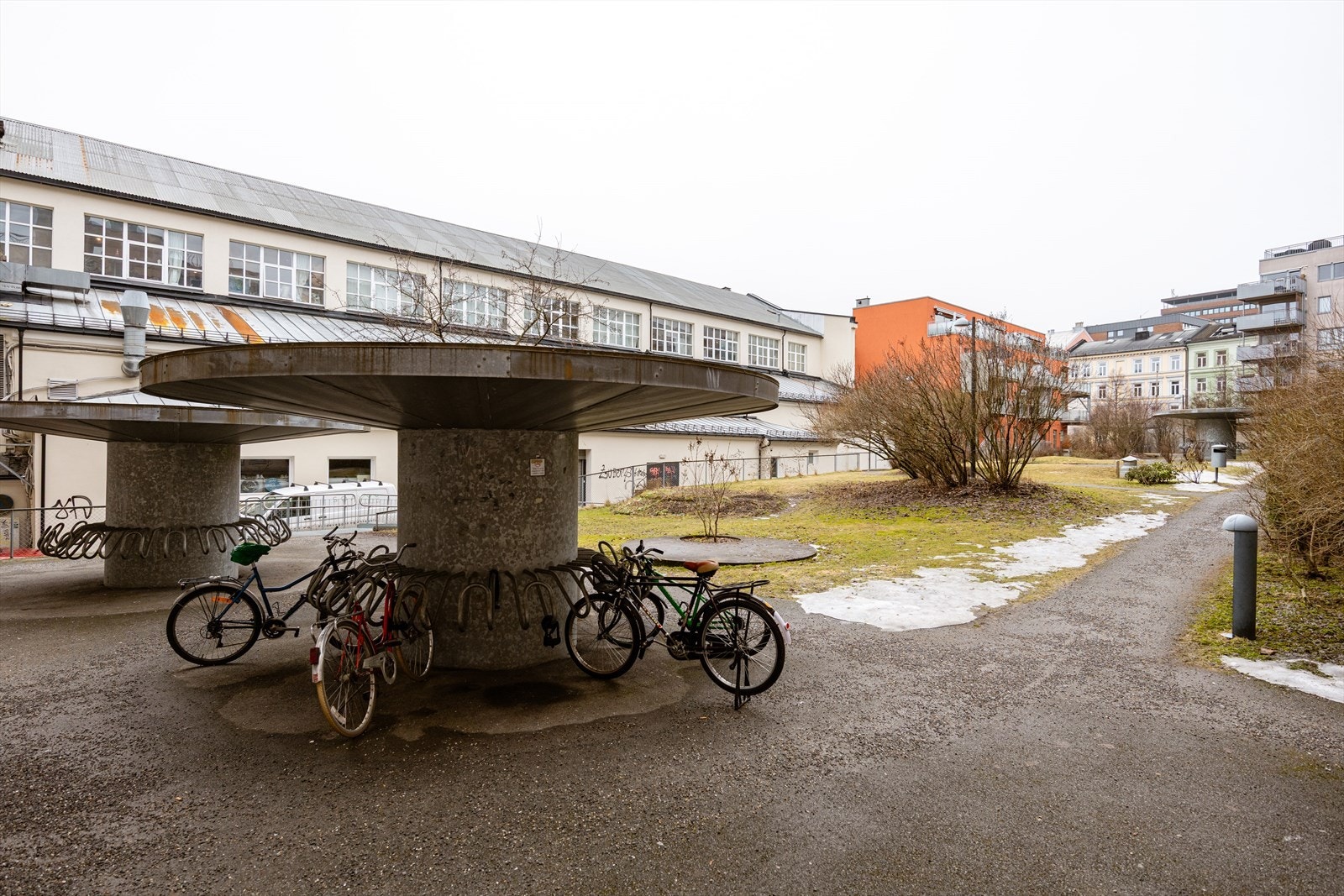 Hyggelig bakgård med sykkelparkering, grøntområder og diverse beplantning. Her møtes naboer for en prat i forbi farten. Galleribilde