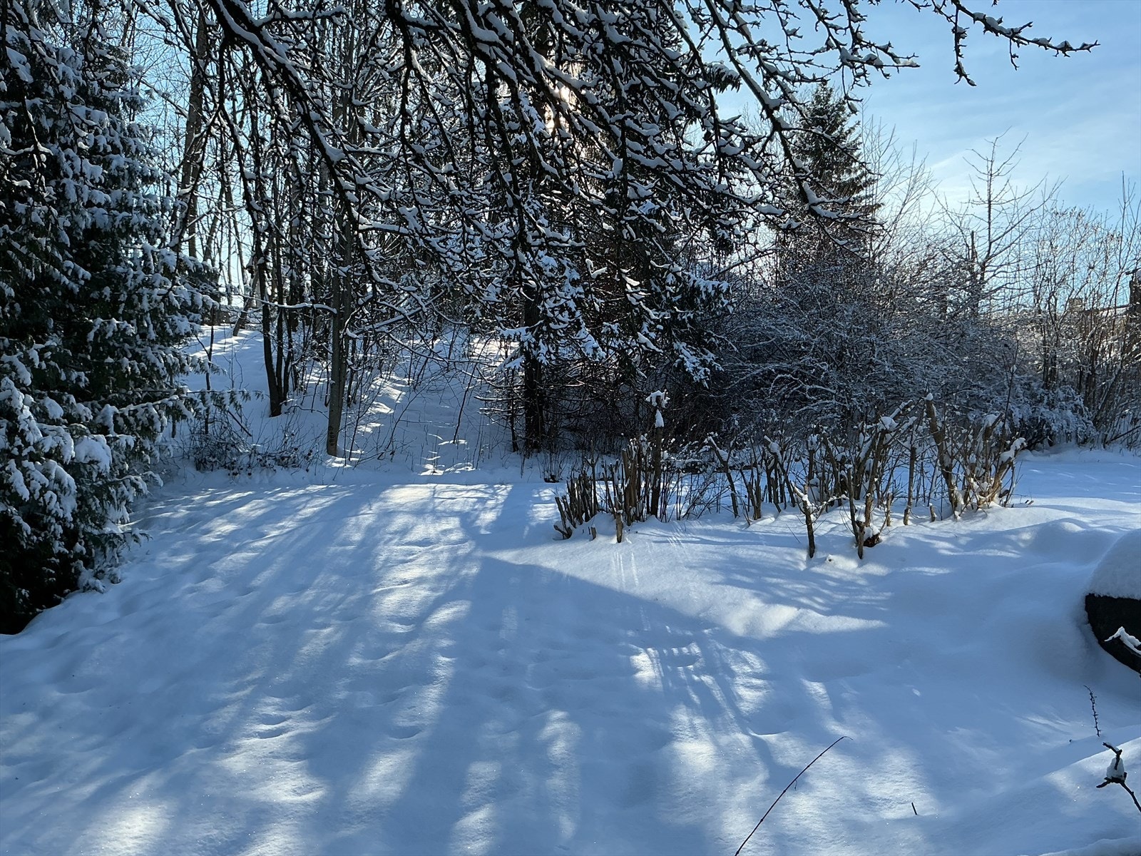 Selgers bilde. Galleribilde