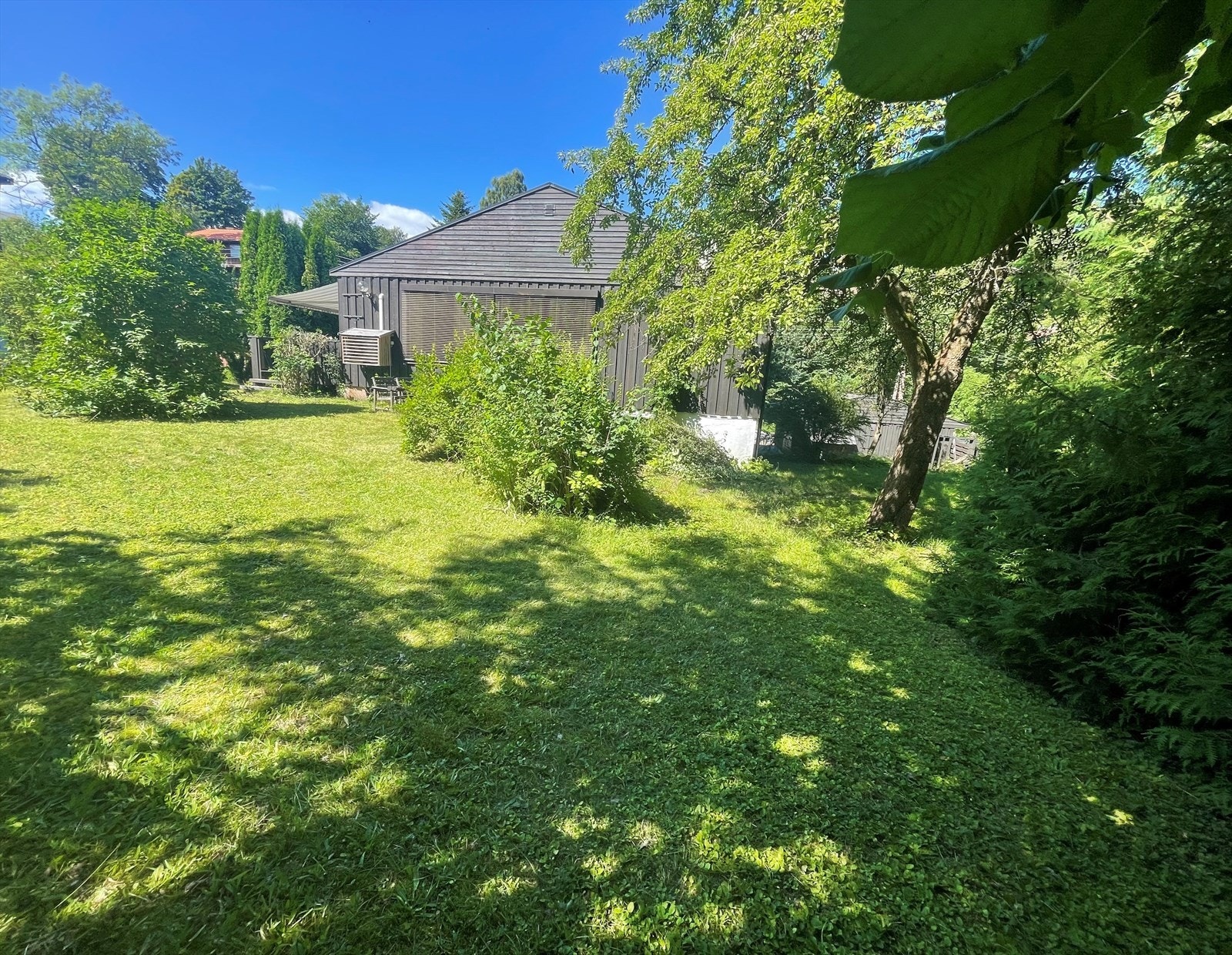 Selgers bilde. Galleribilde