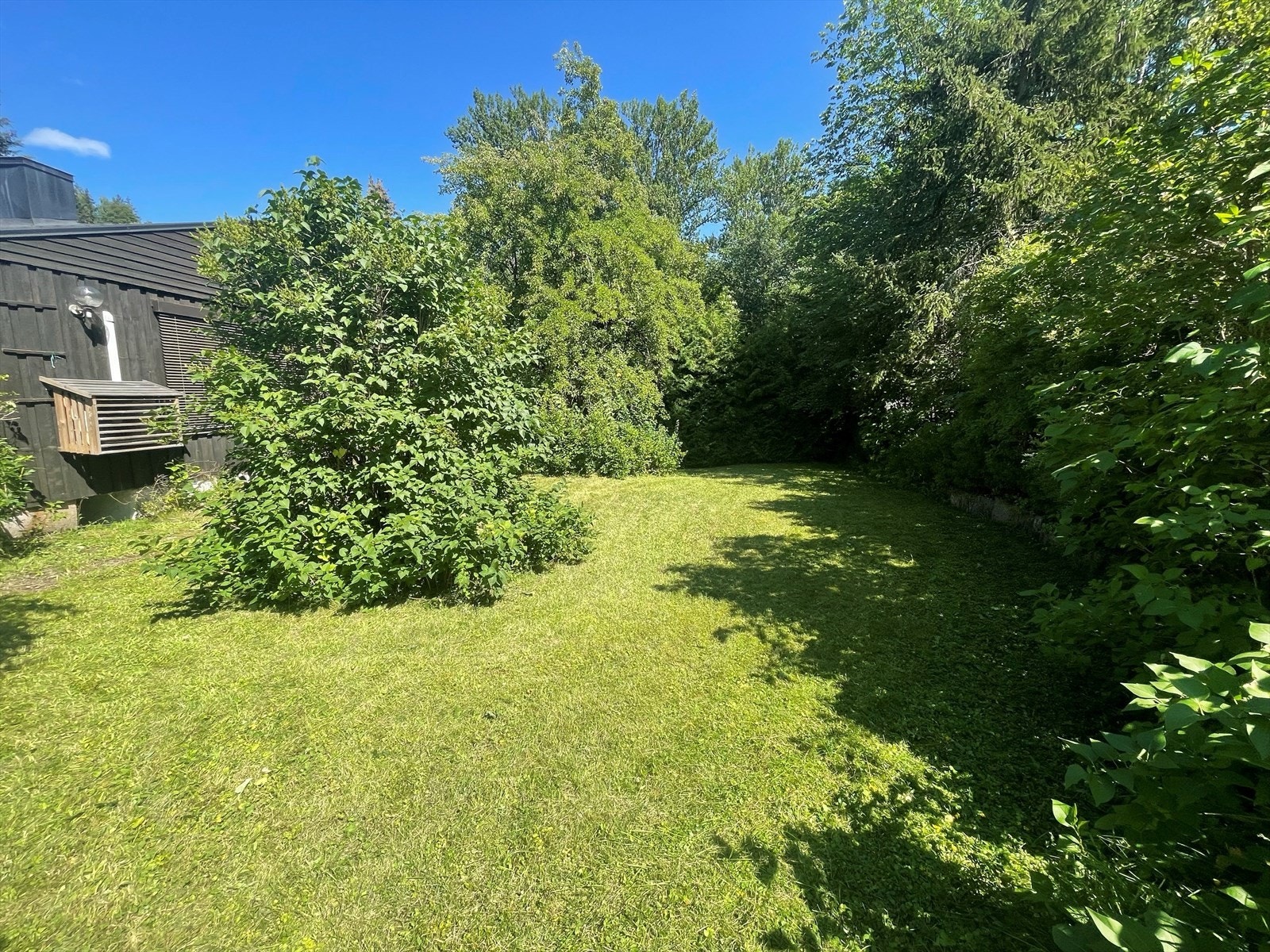 Selgers bilde. Galleribilde