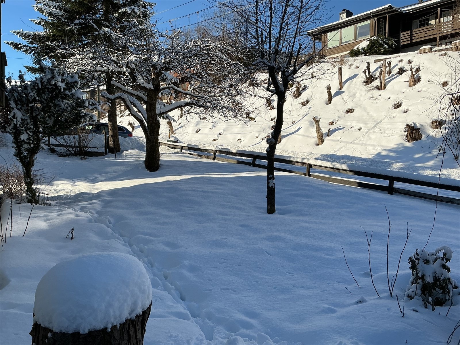 Selgers bilde. Galleribilde