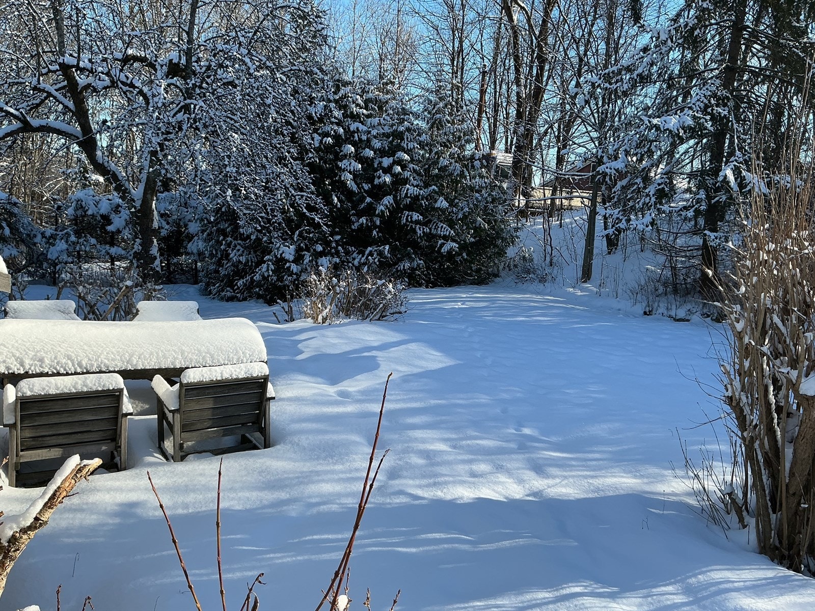 Selgers bilde. Galleribilde