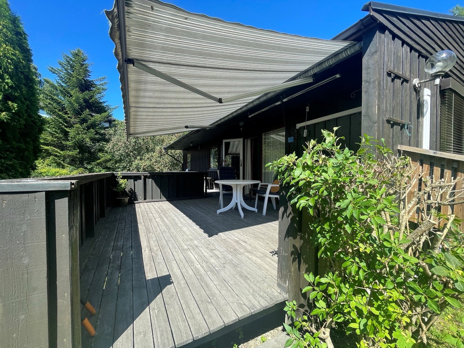 Selgers bilde. Galleribilde