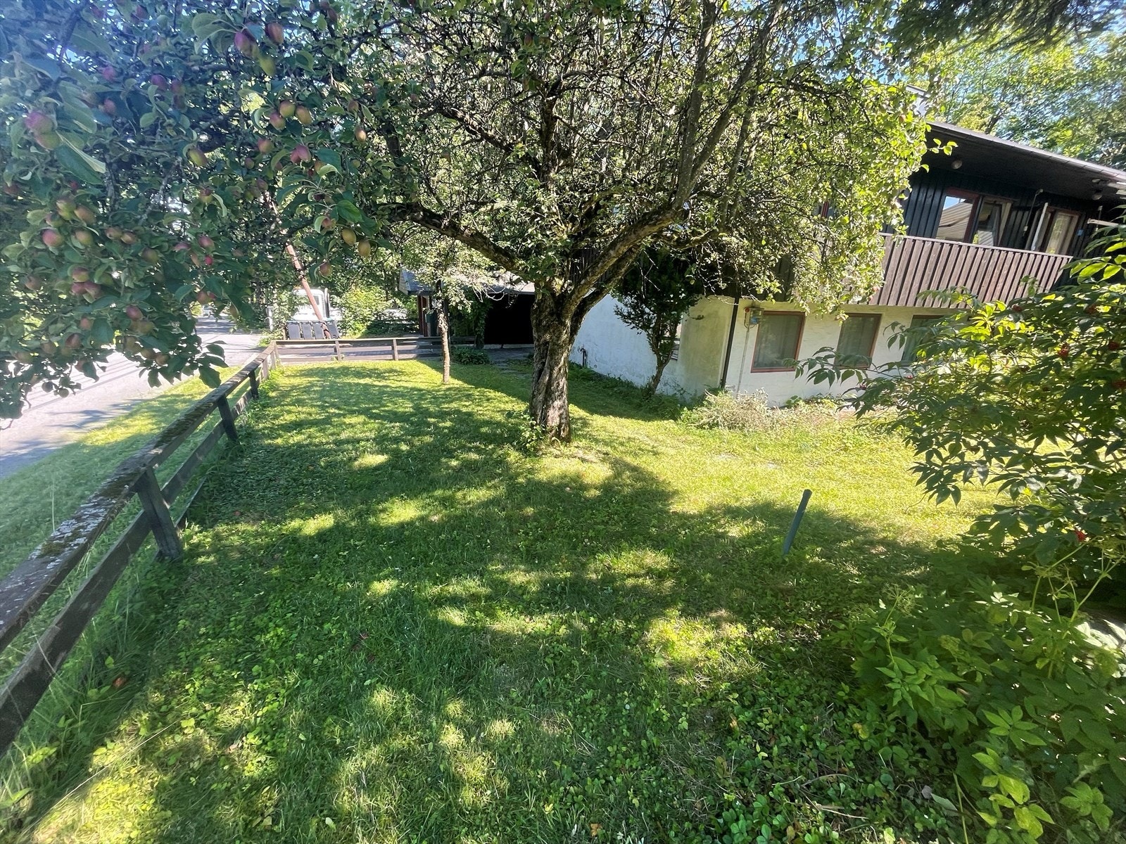 Selgers bilde. Galleribilde