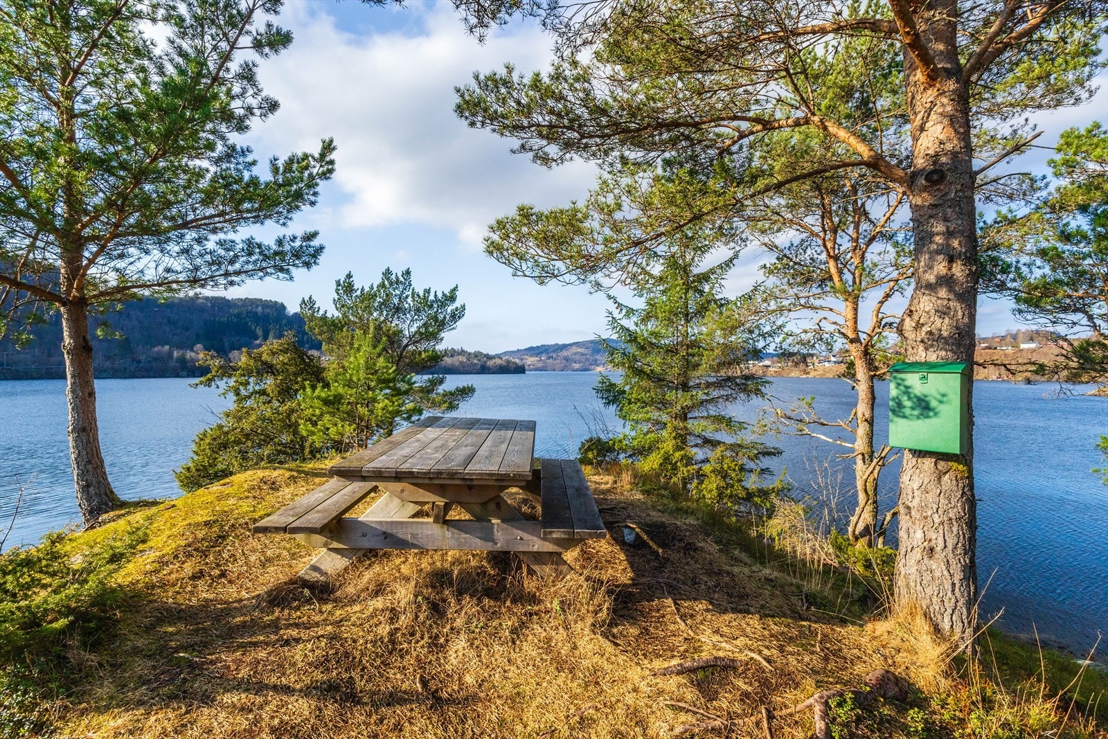 Området byr på flotte turmuligheter i skog og mark like i nærheten av boligen Galleribilde