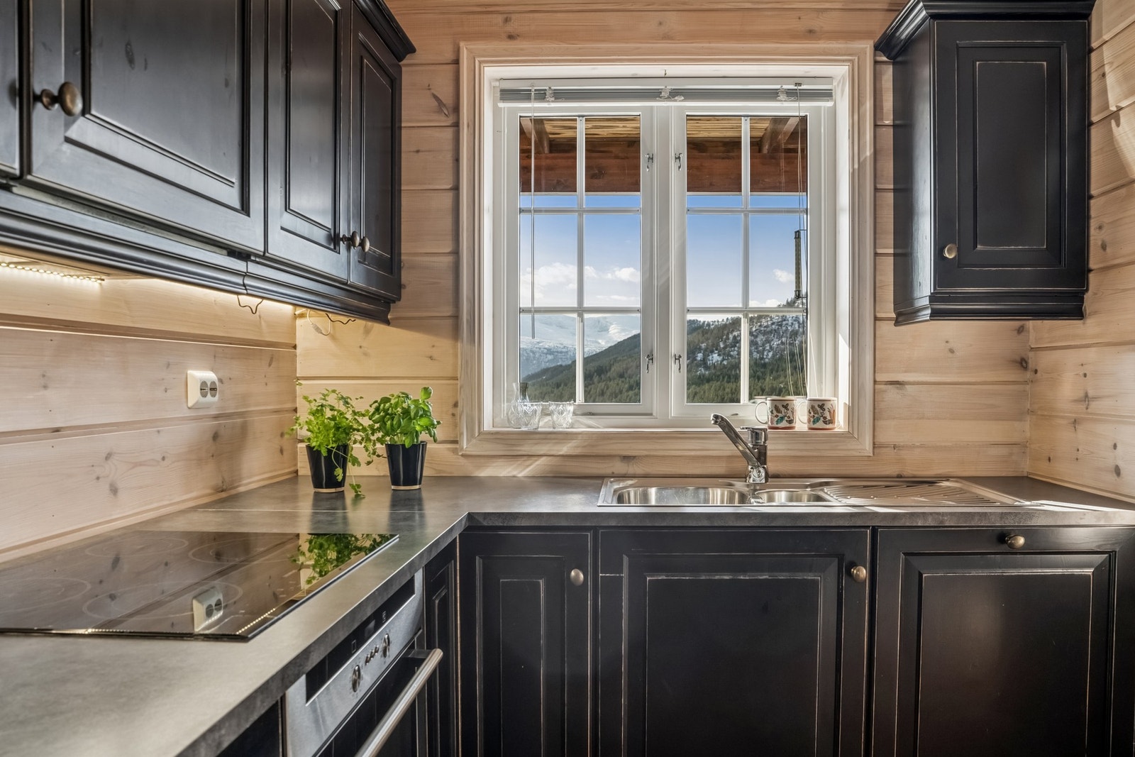 - Benkeplaten er av laminat og en fantastisk utsikt fra kjøkkenvinduet - Galleribilde