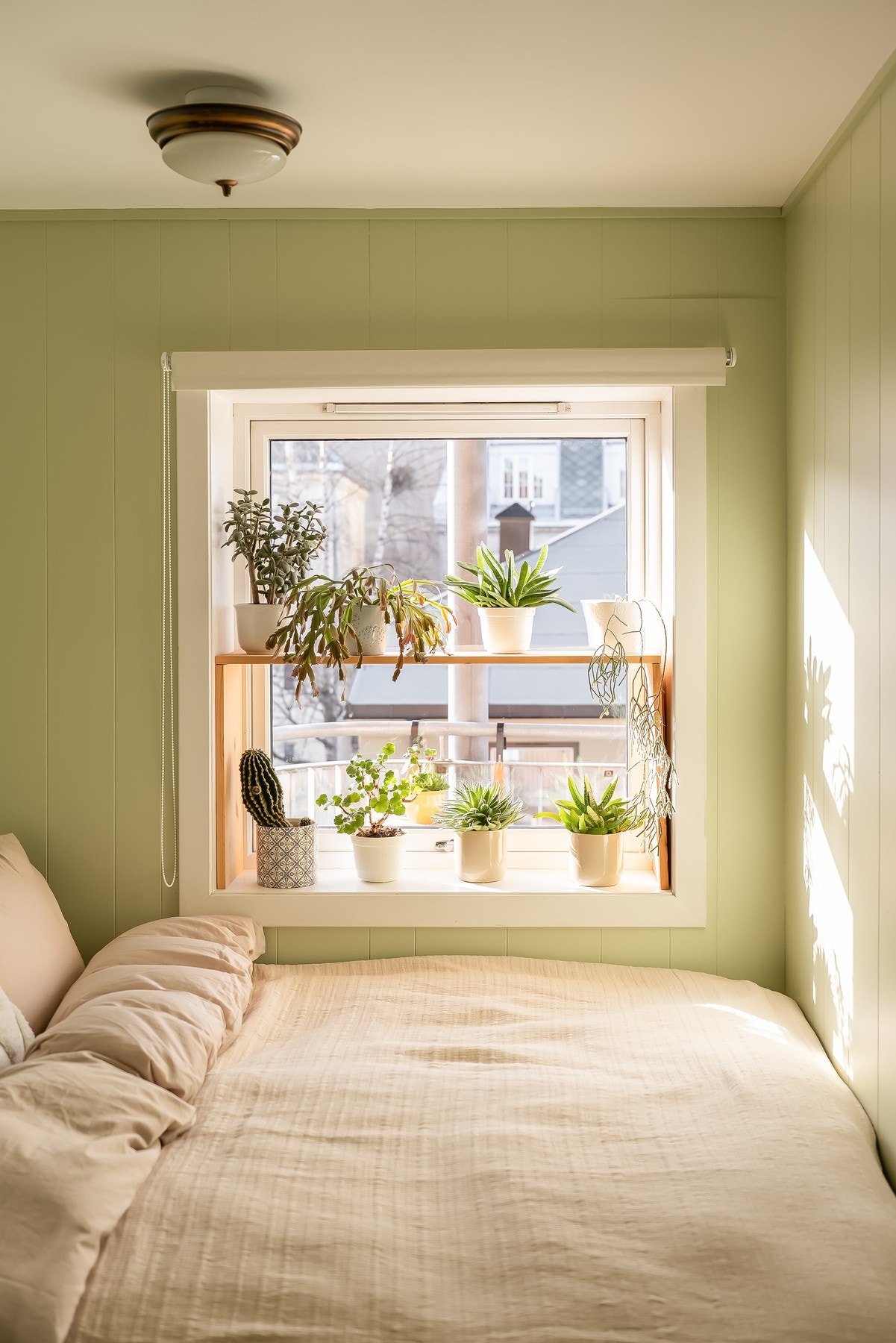 Vinduet vender mot rolige omgivelser. Galleribilde