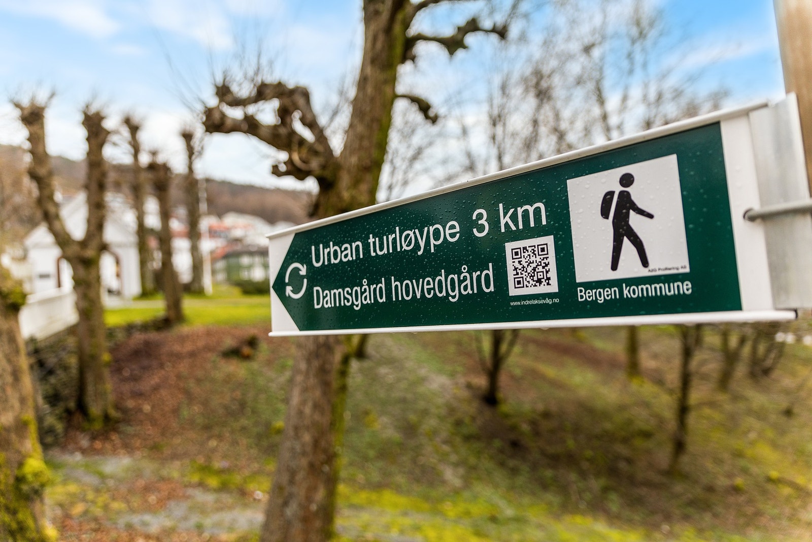 Mange flotte turområder i nærområdet, som Damsgårdsfjellet og Løvstakken, ligger lett tilgjengelig for de som liker å holde seg aktiv Galleribilde