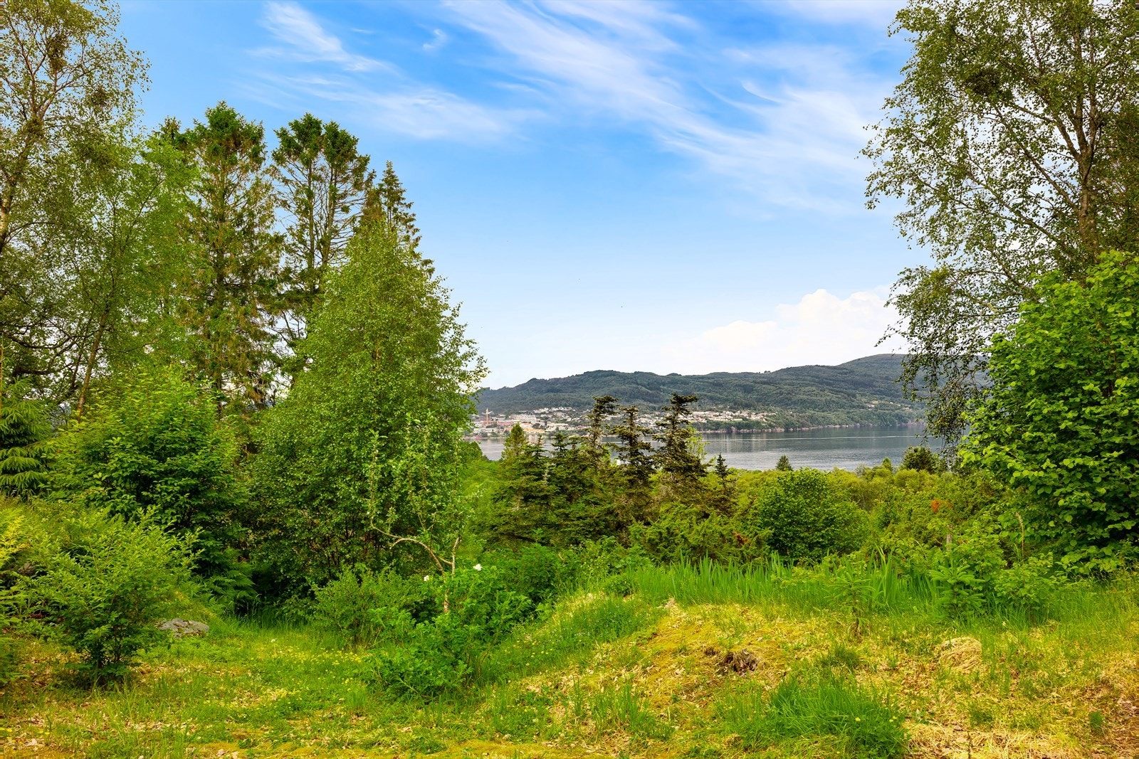 Fra stuen kommer du ut i den store og usjenerte hagen. Her kan du nyte både sol og utsikt. Galleribilde