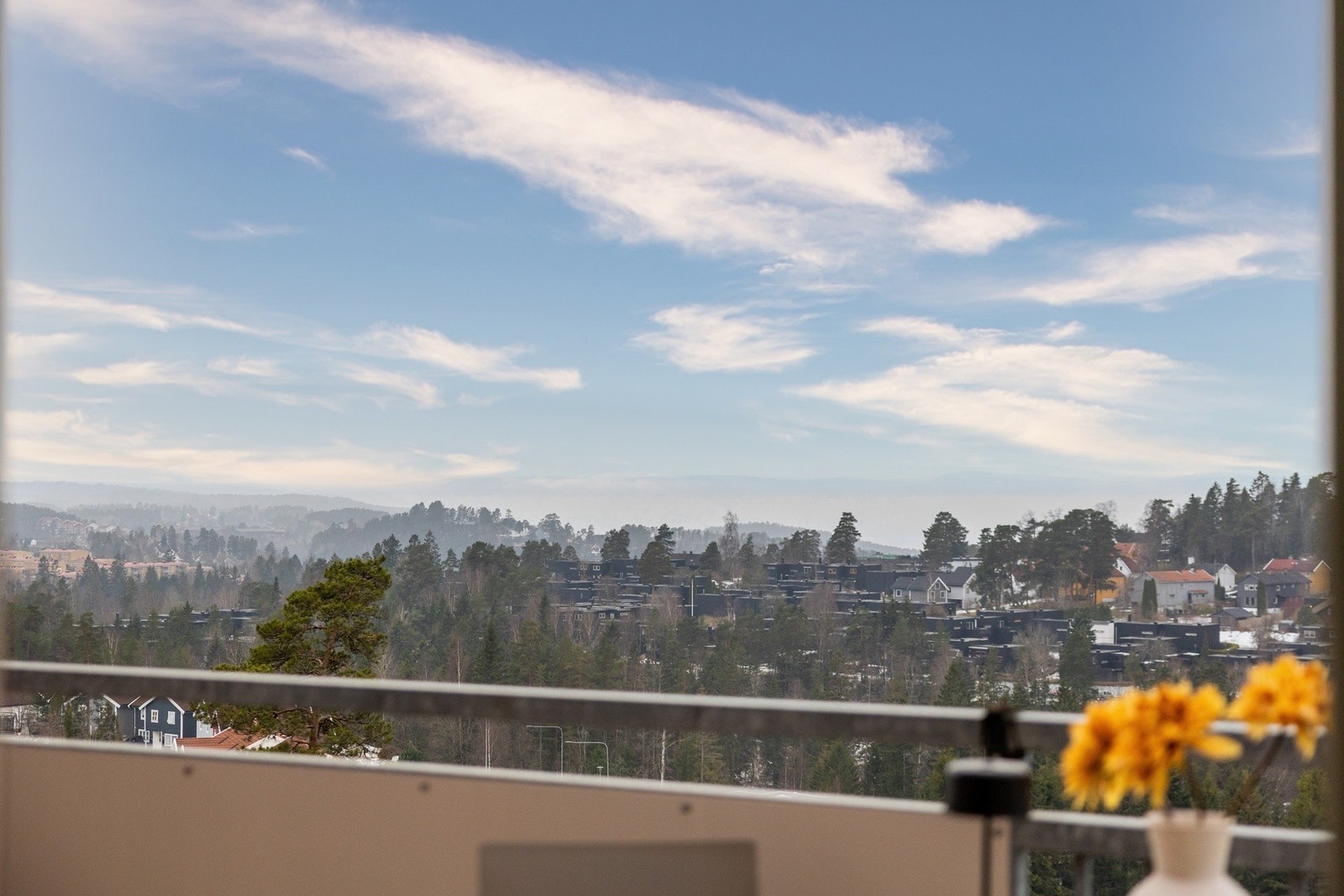 Flott utsikt over nærområdet. Galleribilde