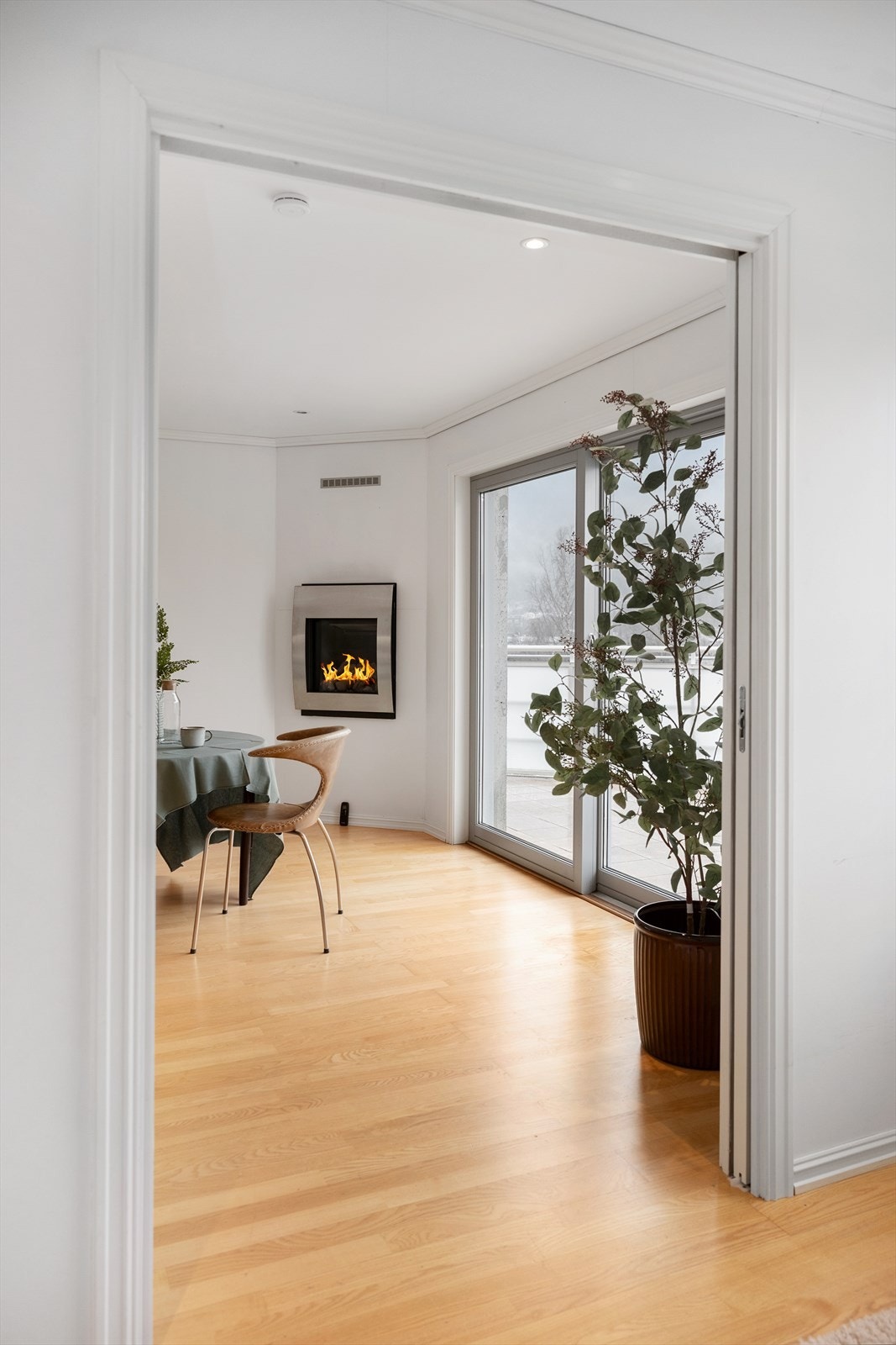 Den tofløya skyvedøra er fint løyst. Galleribilde