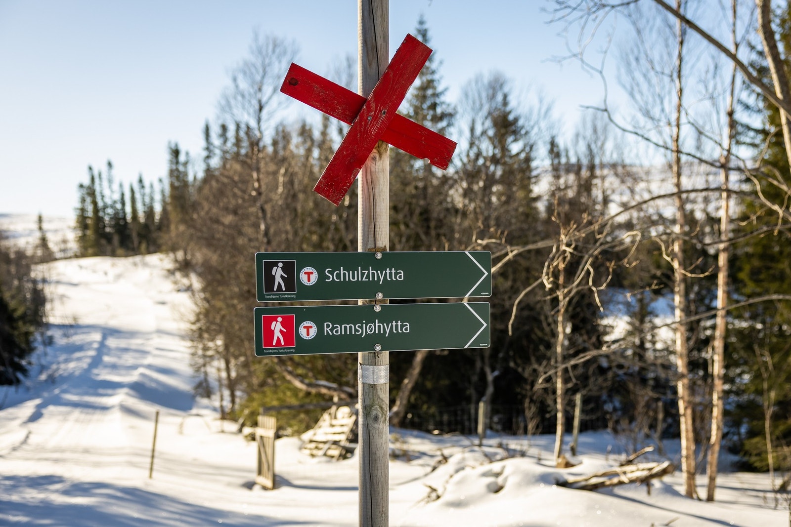 Det finnes et stort utvalg turdestinasjoner som passer for enhver. Galleribilde