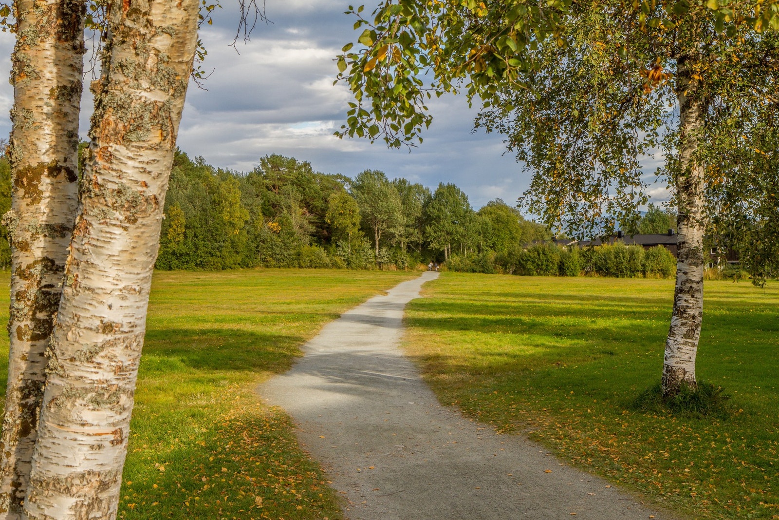 Borettslagets nærmeste nabo er store grøntareal. Galleribilde