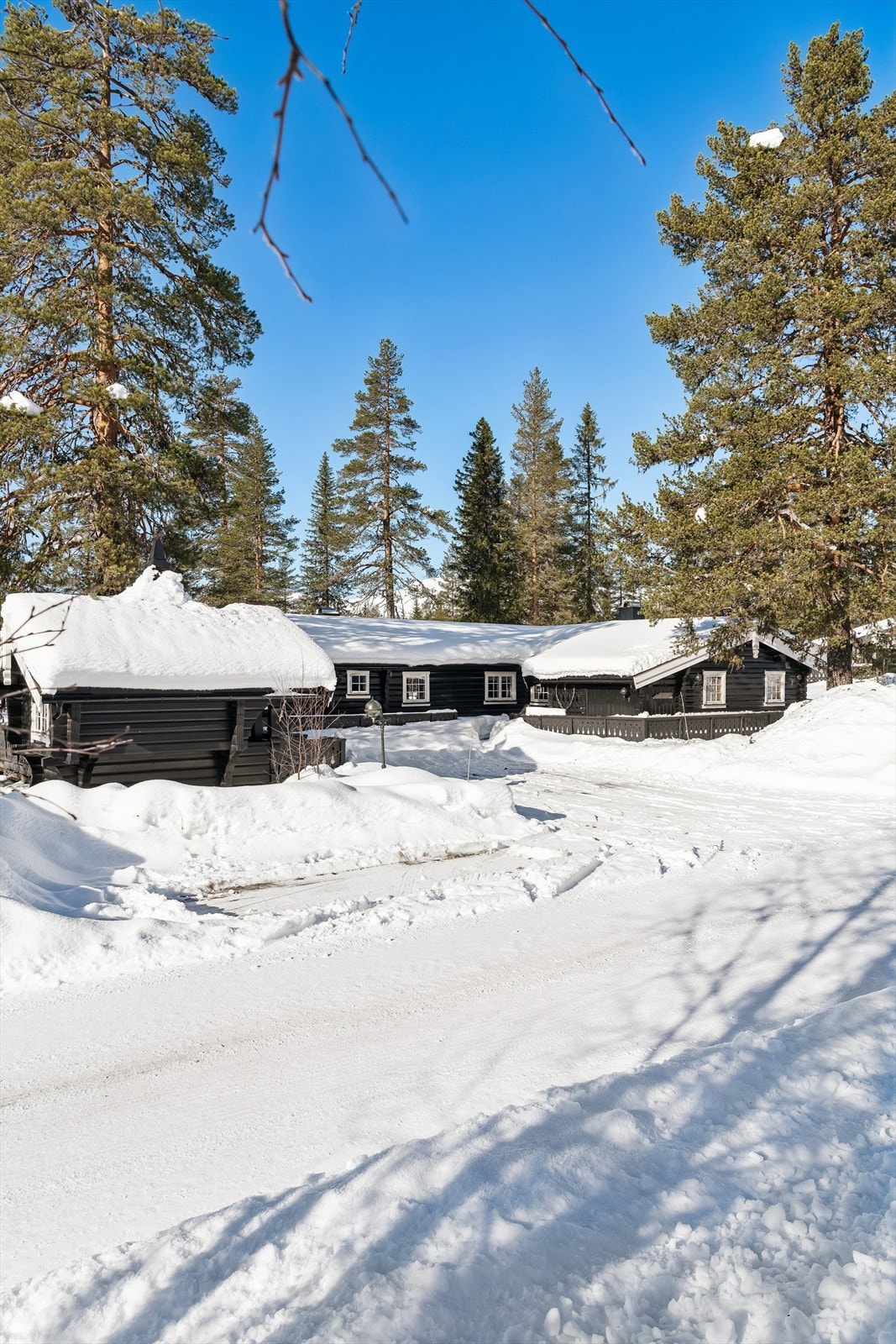 Velkommen til visning! Galleribilde