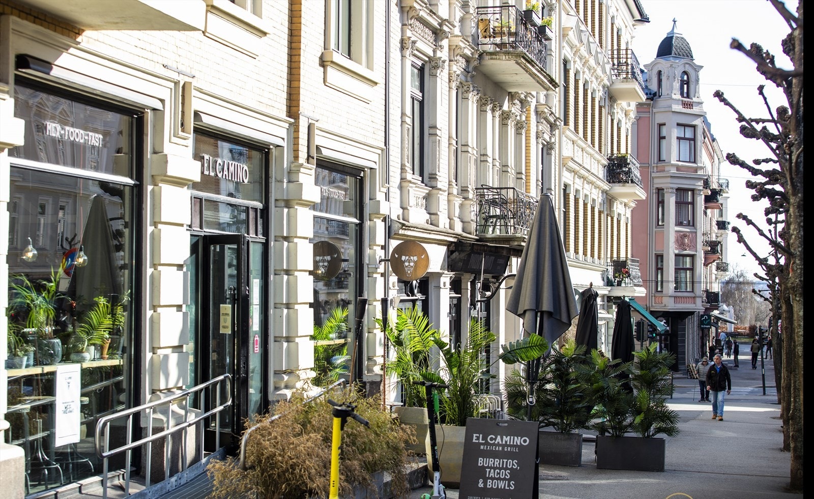 Områdebilde. Galleribilde