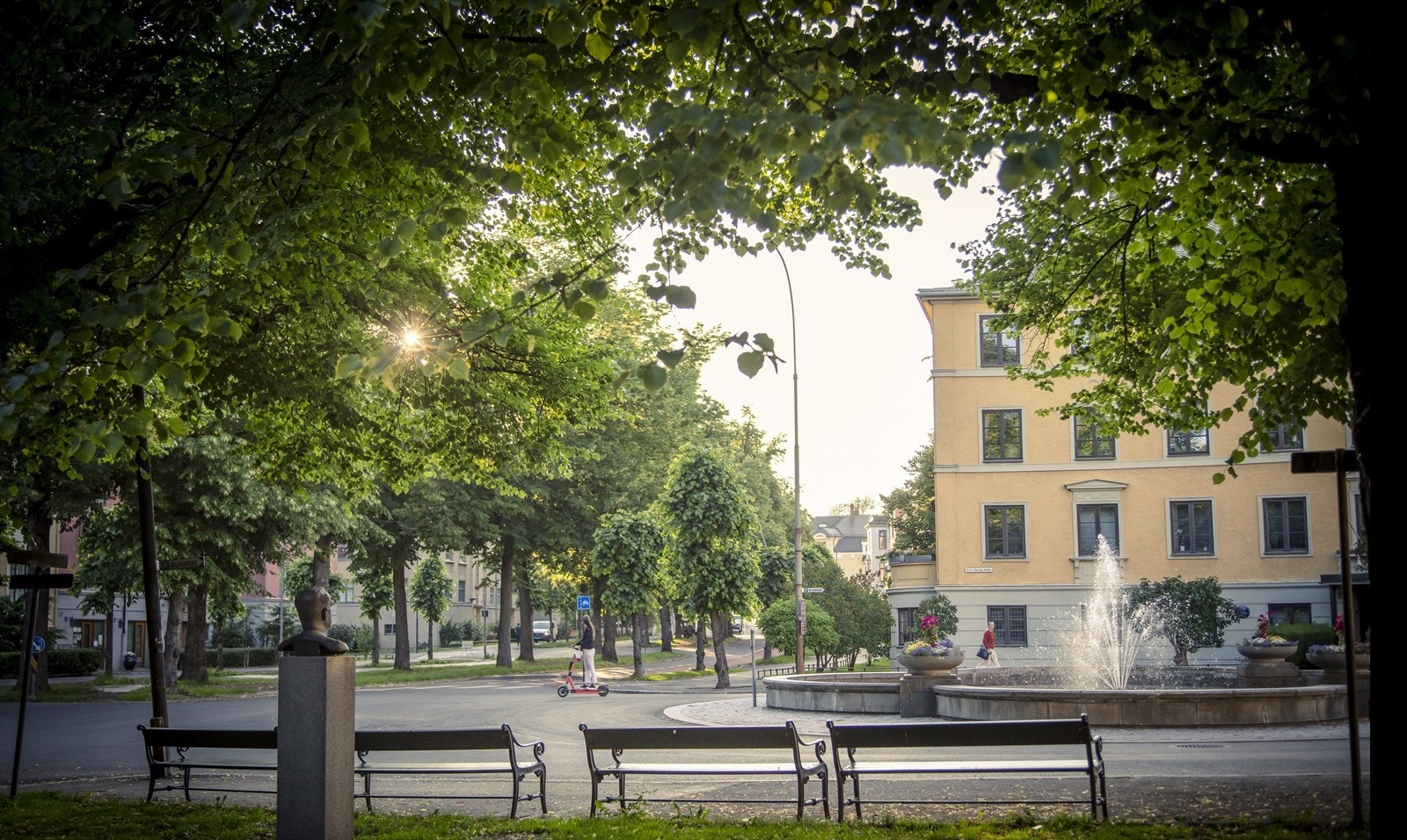 Områdebilde. Galleribilde