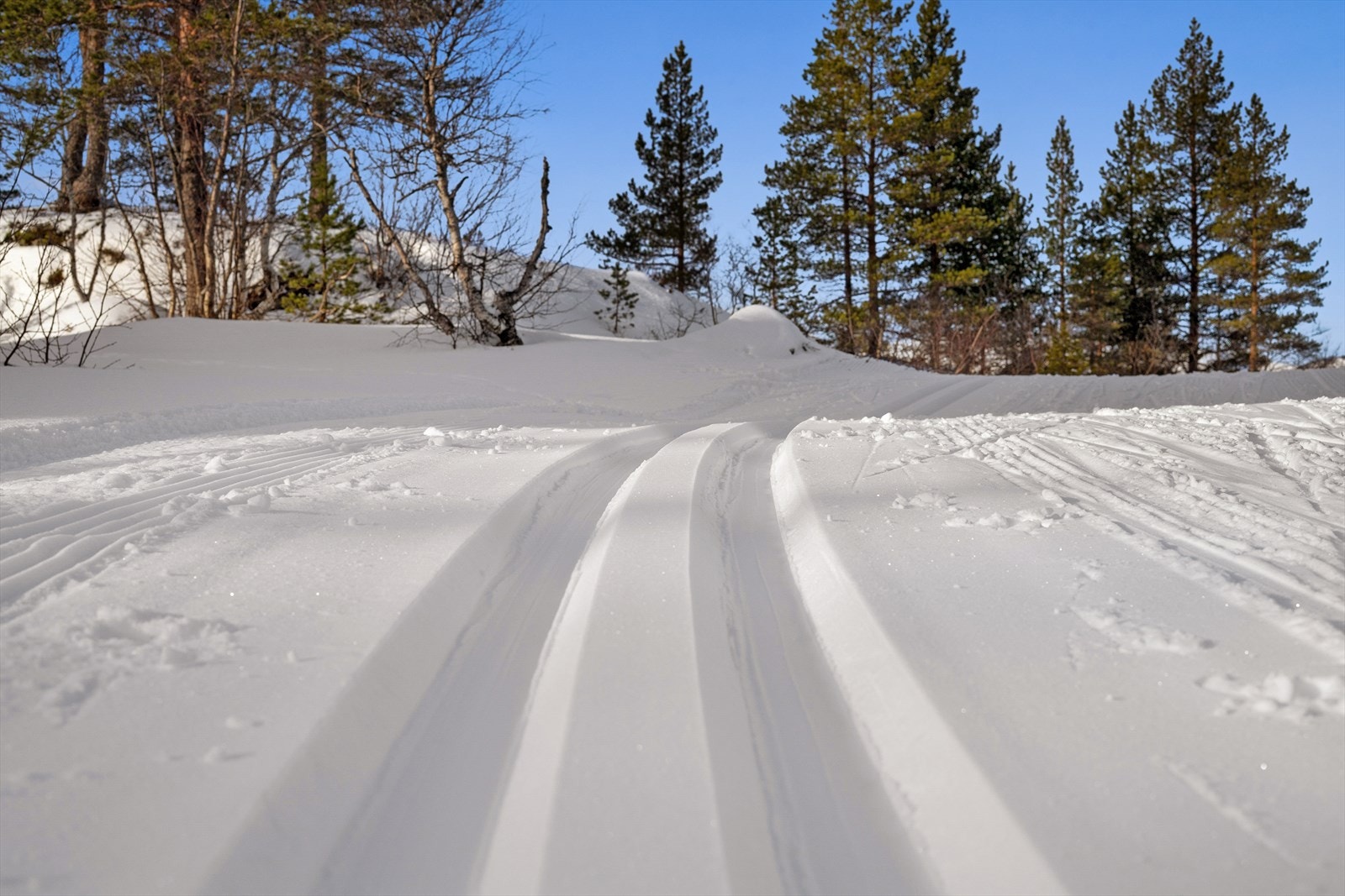Fra hytta kan du spenne på deg skiene og gli rett ut i et nettverk av over 113 kilometer med preparerte spor som snor seg gjennom det snødekte landskapet. Galleribilde