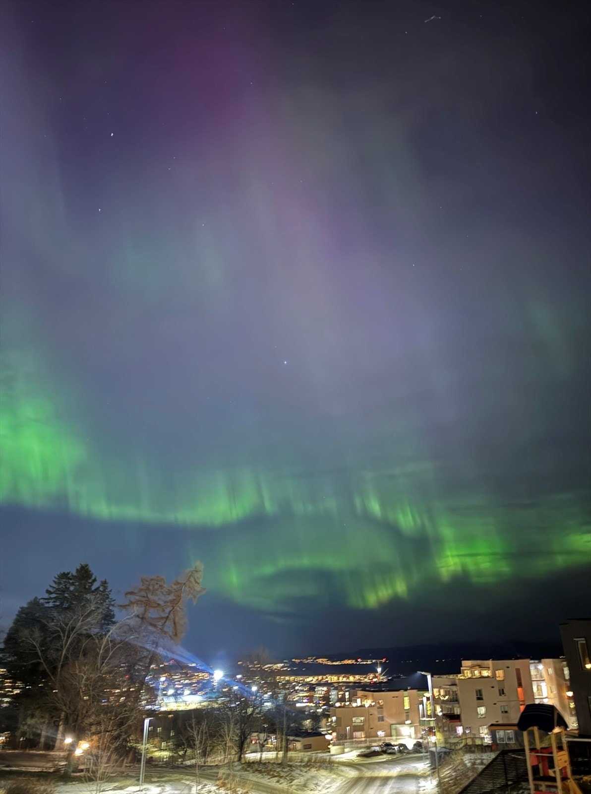 Bilde tatt av selger. Galleribilde