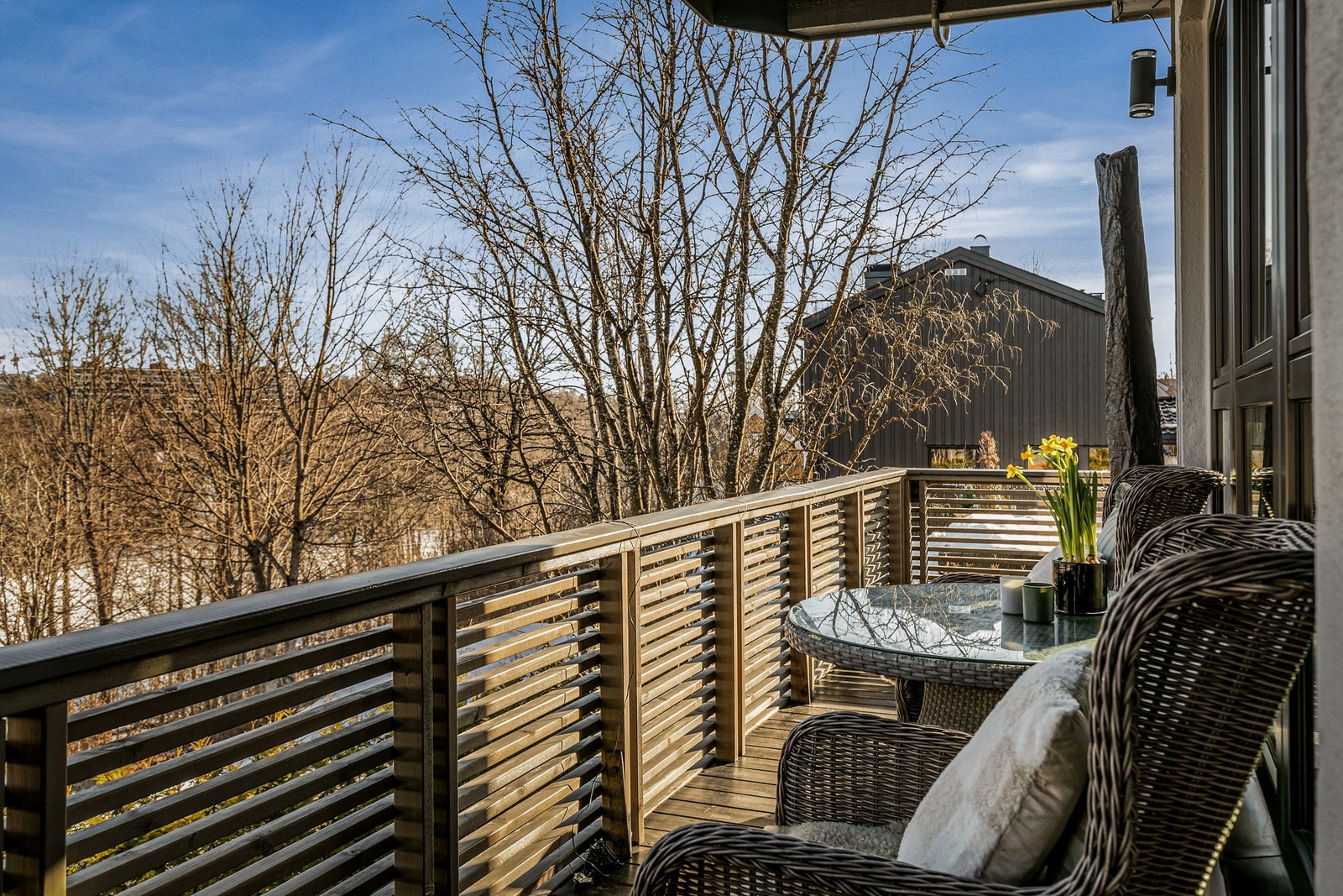 Flott terrasse med hyggelig utsyn sommer som vinter. Galleribilde