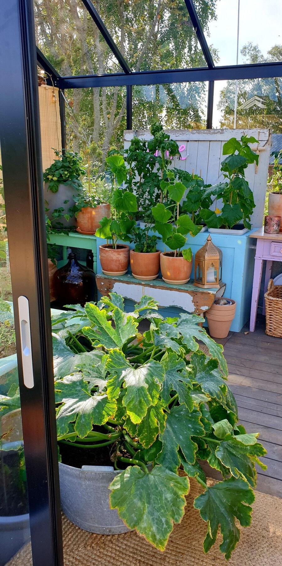 Et drivhuset vil gi gode vekstforhold for både grønnsaker og blomster. Galleribilde