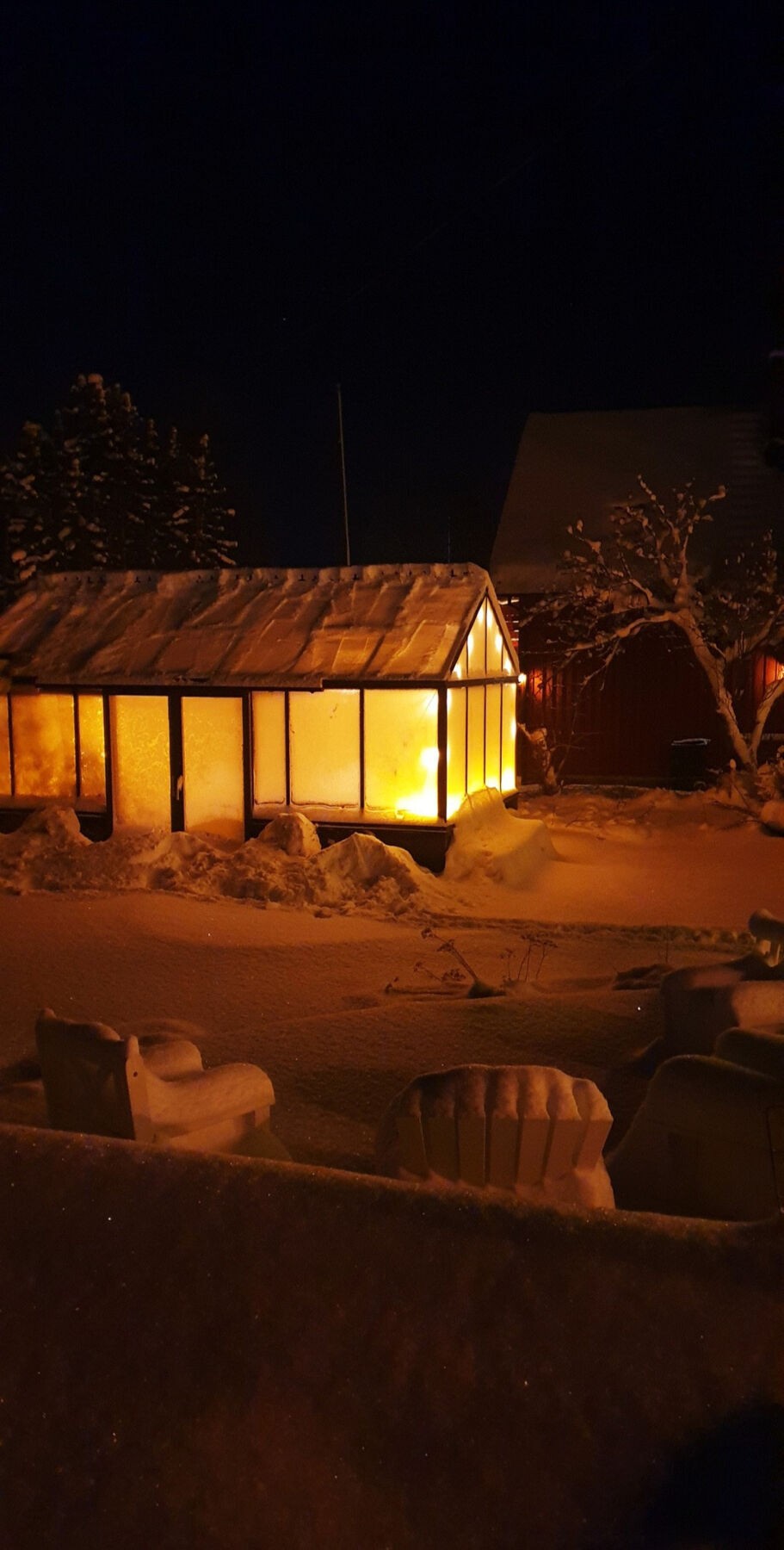 Stemningsfull hage med opplyst drivhus i vinterdrakt. Galleribilde
