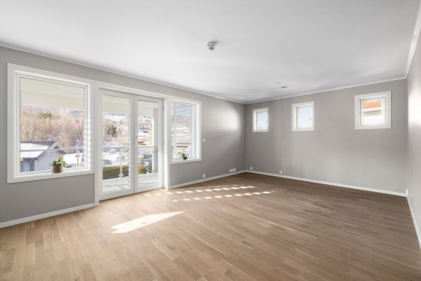 Rikelig med lysforhold fra store vinduer. Galleribilde