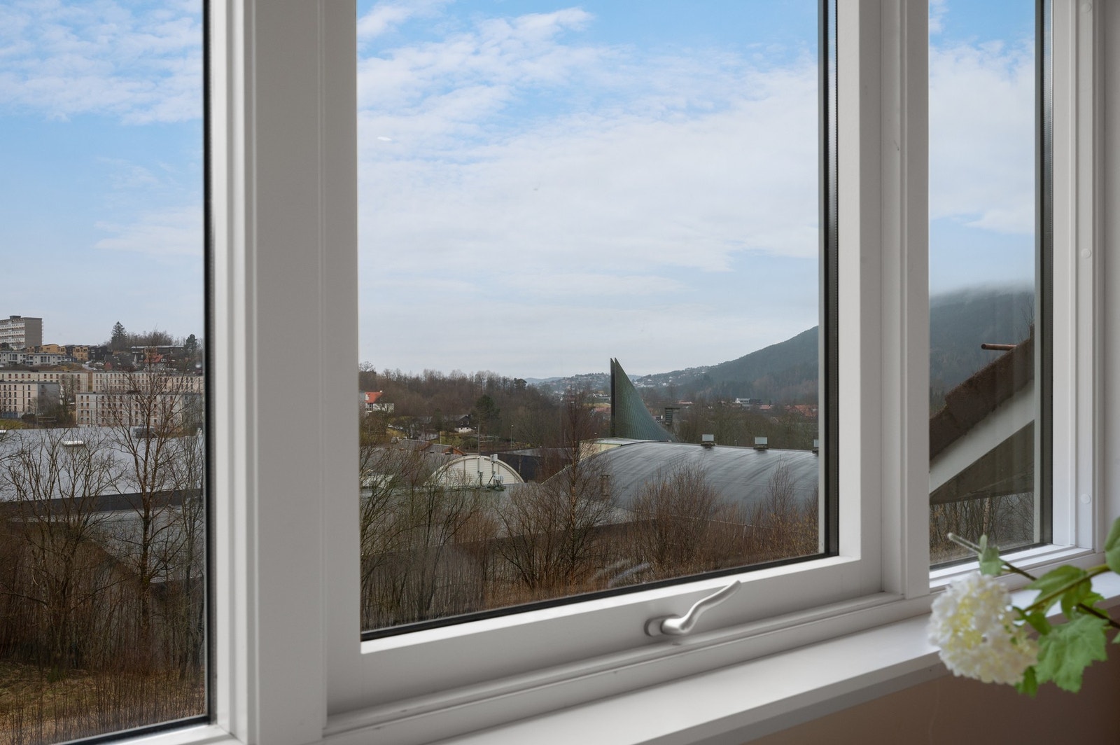 Du har en pen utsikt over nabolaget. Galleribilde