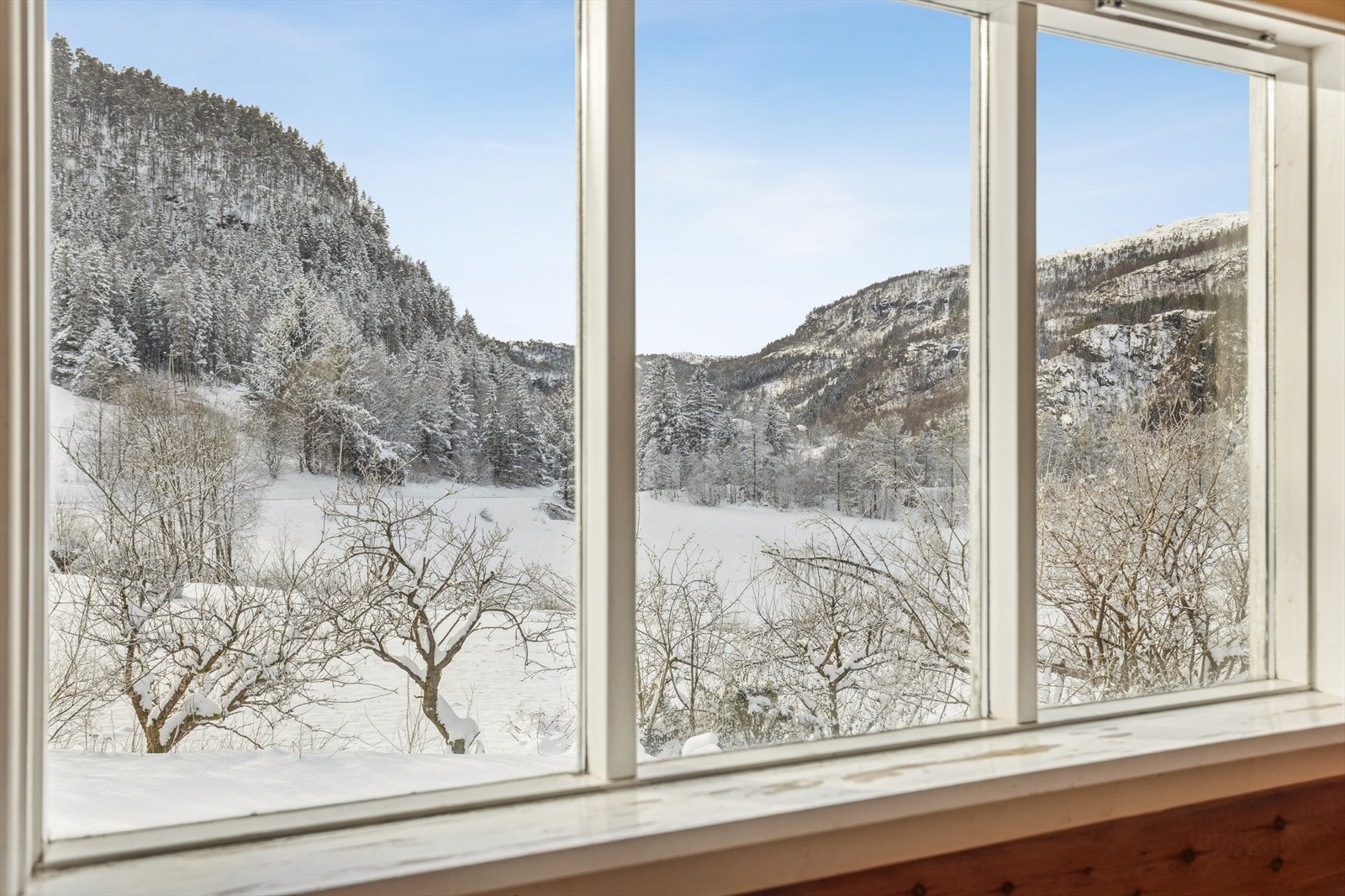 Herlige utsiktsforhold! Galleribilde