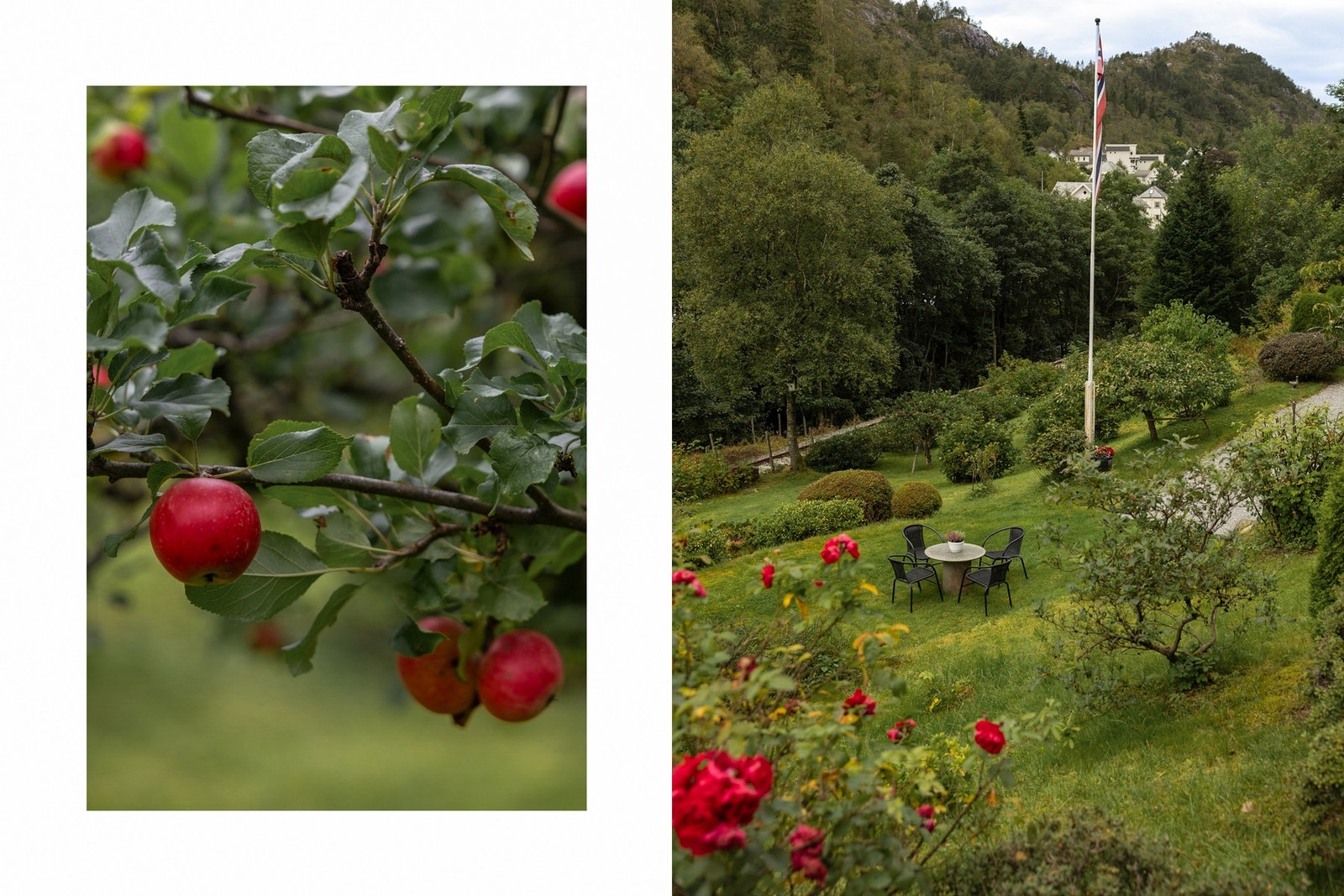 Boligen ligger tett på naturskjønne omgivelser og har meget gode solforhold! Galleribilde