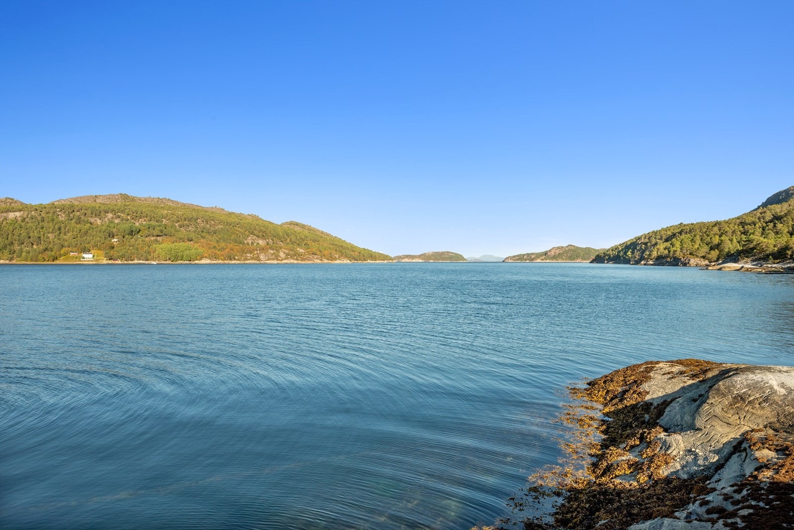 Med en beskyttet plassering inne i fjorden ligger flytebrygga godt skjermet mot storhavet. Galleribilde