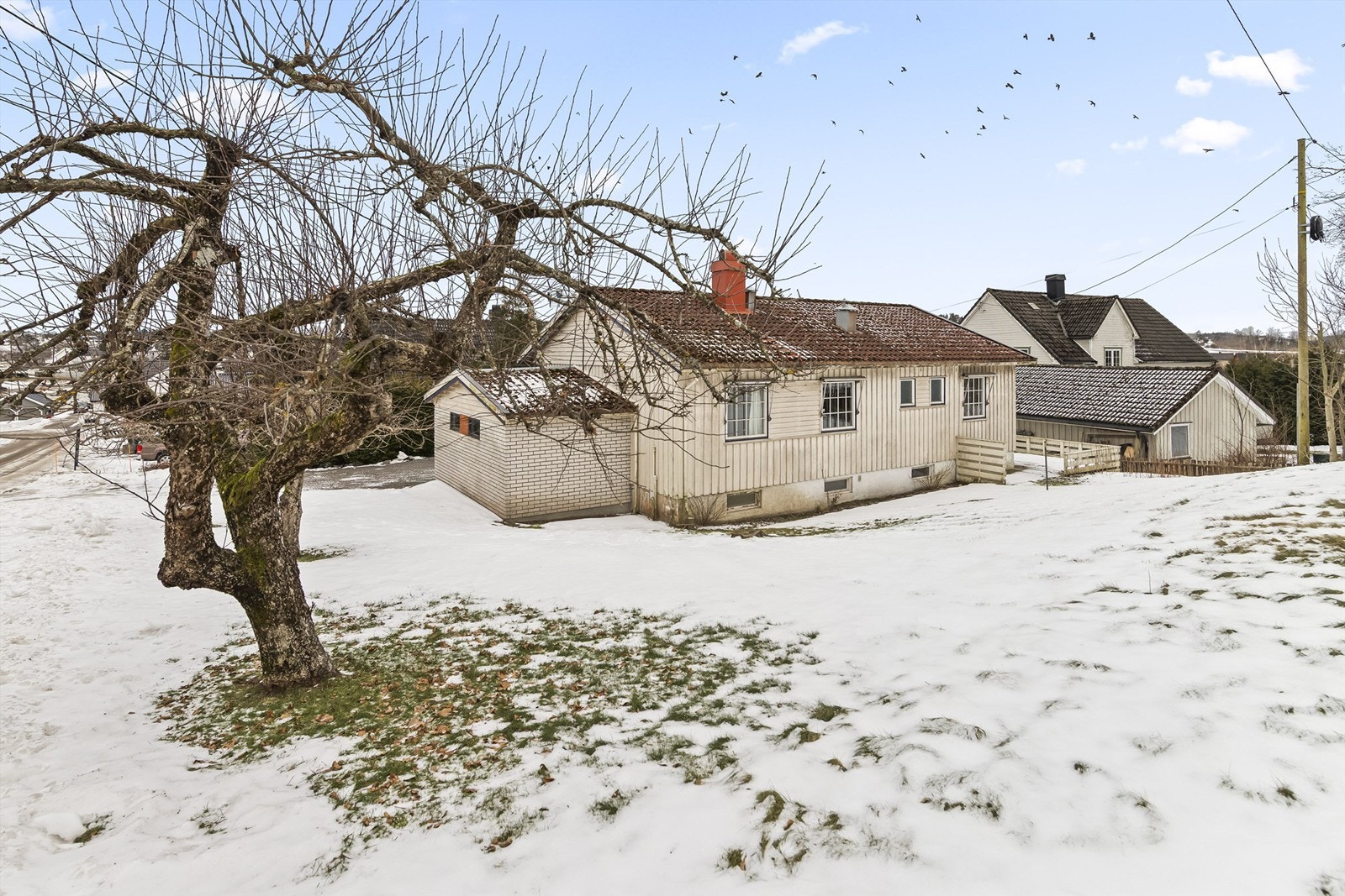 Fasade/hage/nabolaget Galleribilde