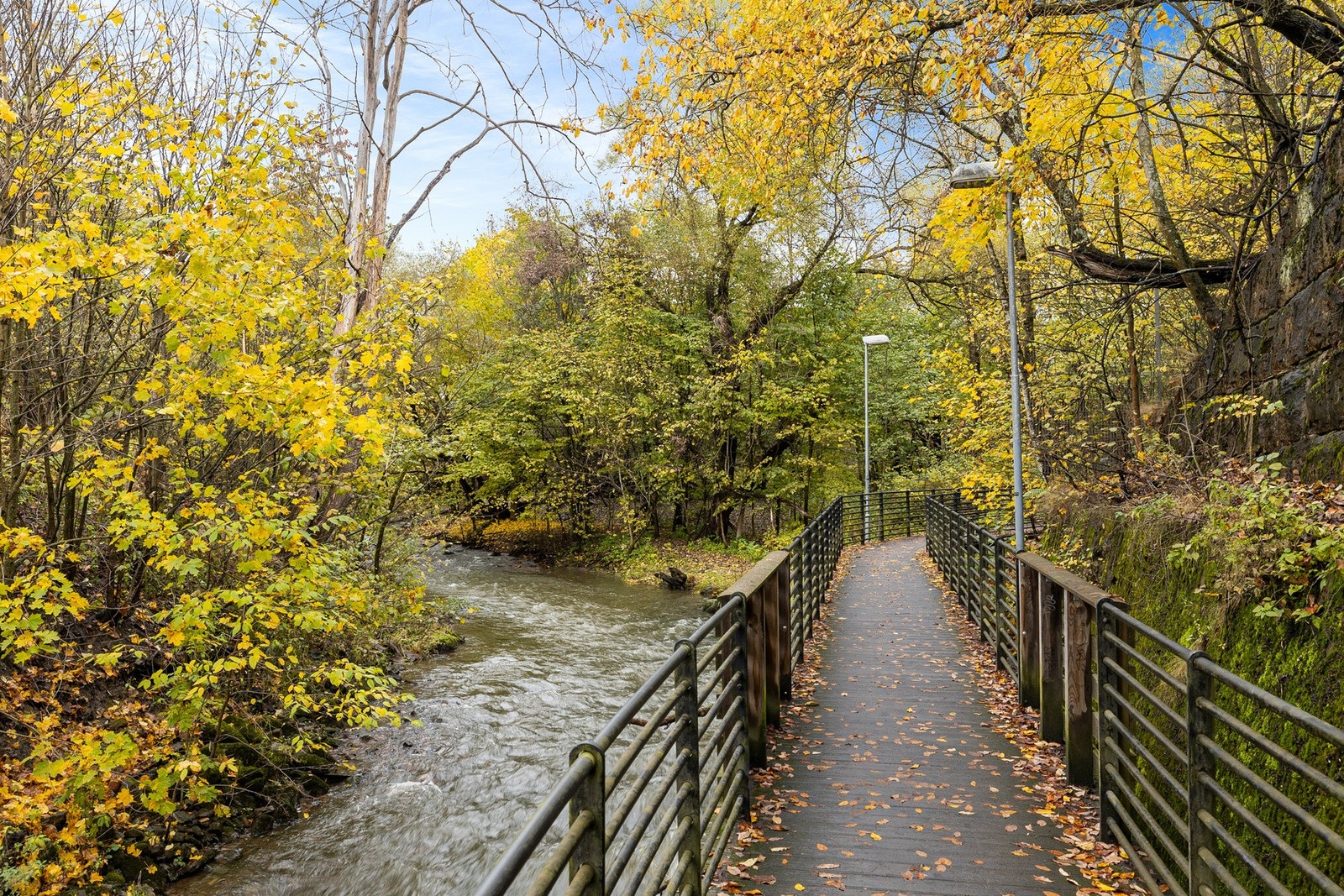 Svartdalsparken med hyggelige turområder Galleribilde