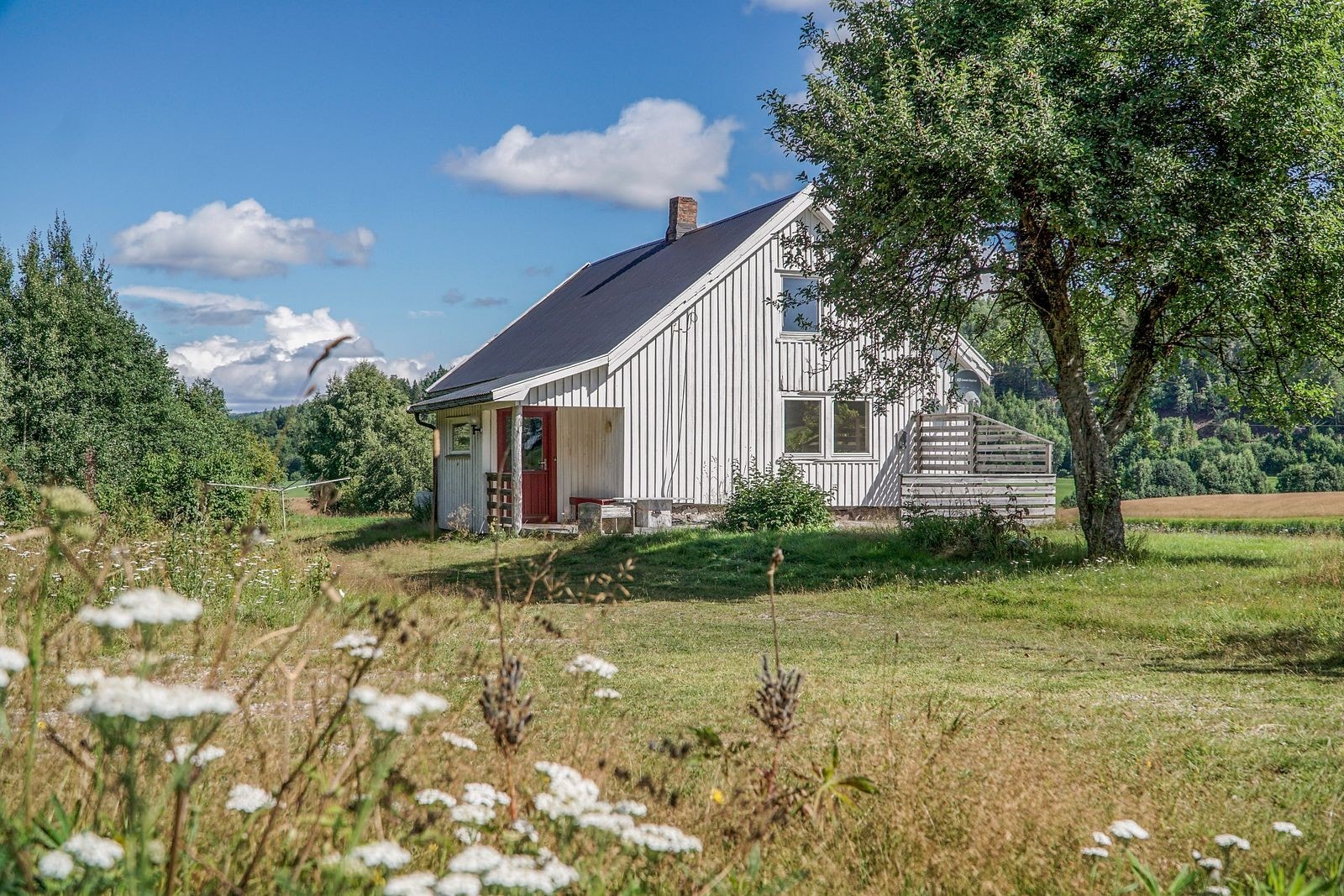 Idyllisk uteområde Galleribilde