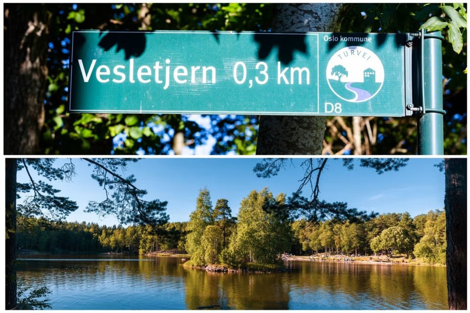 Om sommeren er Vesletjern, med herlig badevann, svaberg, strand, bålplasser og natursti - et populært sted for områdets beboere Galleribilde