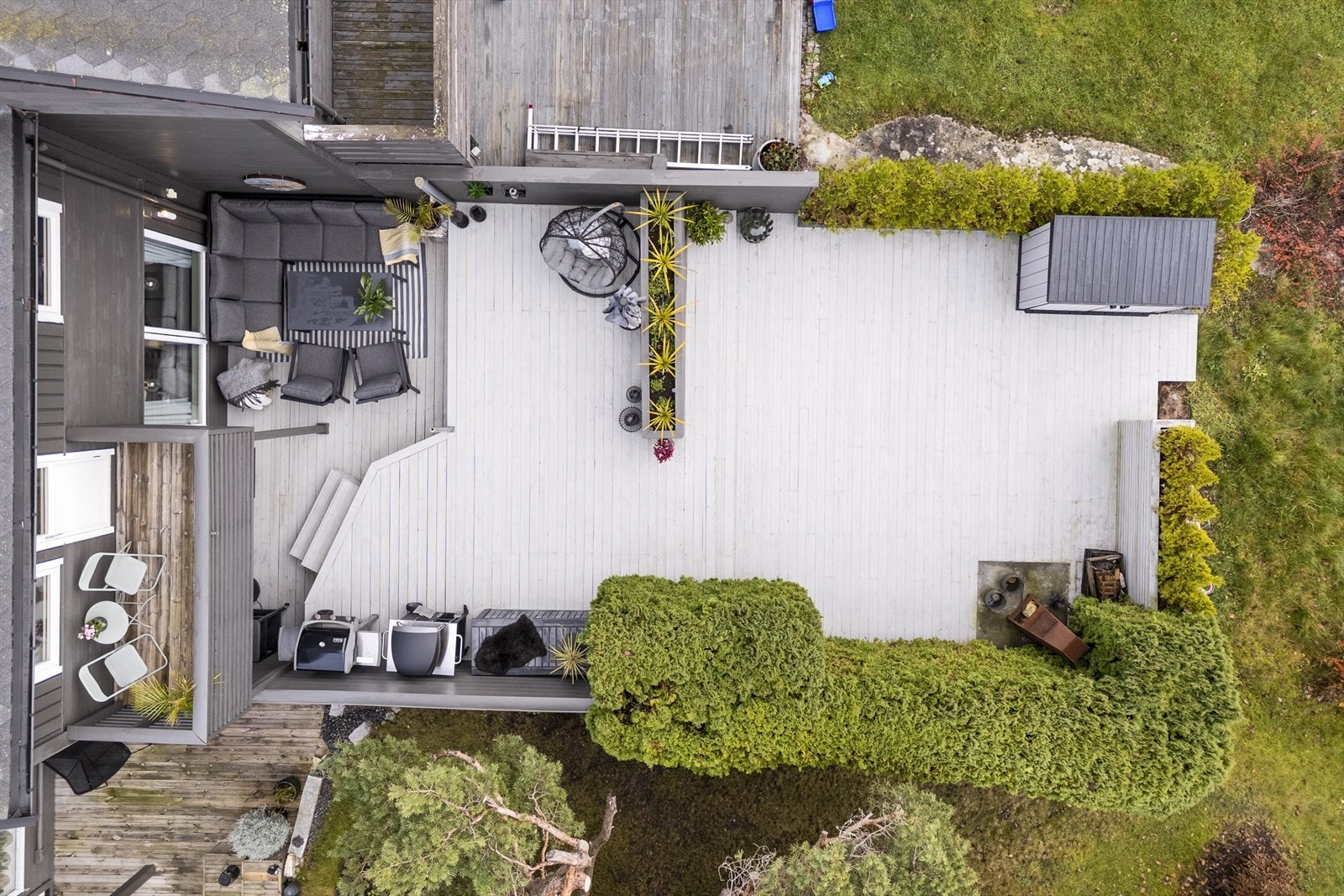 Dronefoto av hagen. Galleribilde