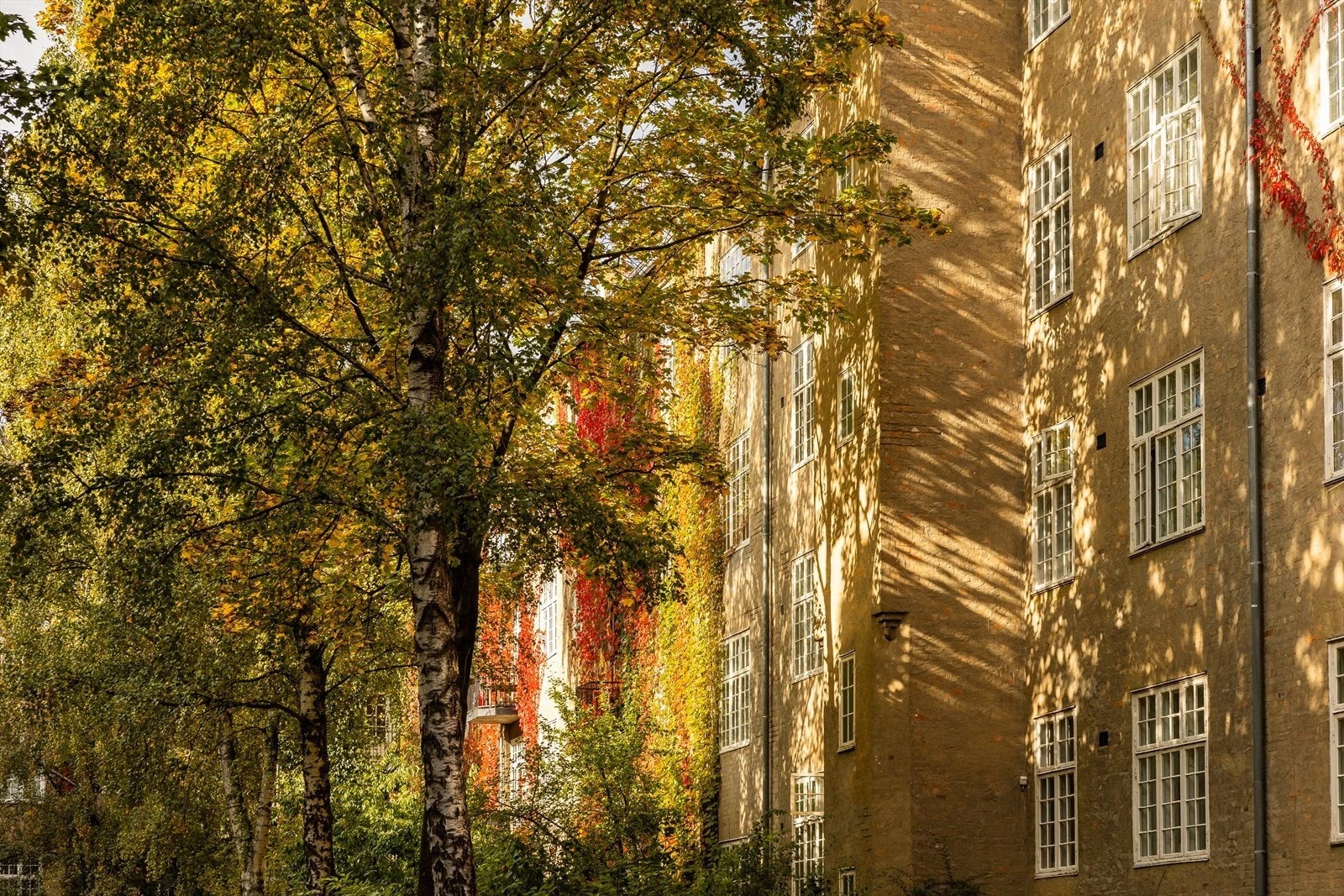 Aksjelaget er beskrevet som hyggelig og veldrevet med et godt samhold. Det er blant annet bakgårdsfest for beboerne med grillling, egen halloweenkomite, samt en egen hagegruppe om man er glad i det. Galleribilde