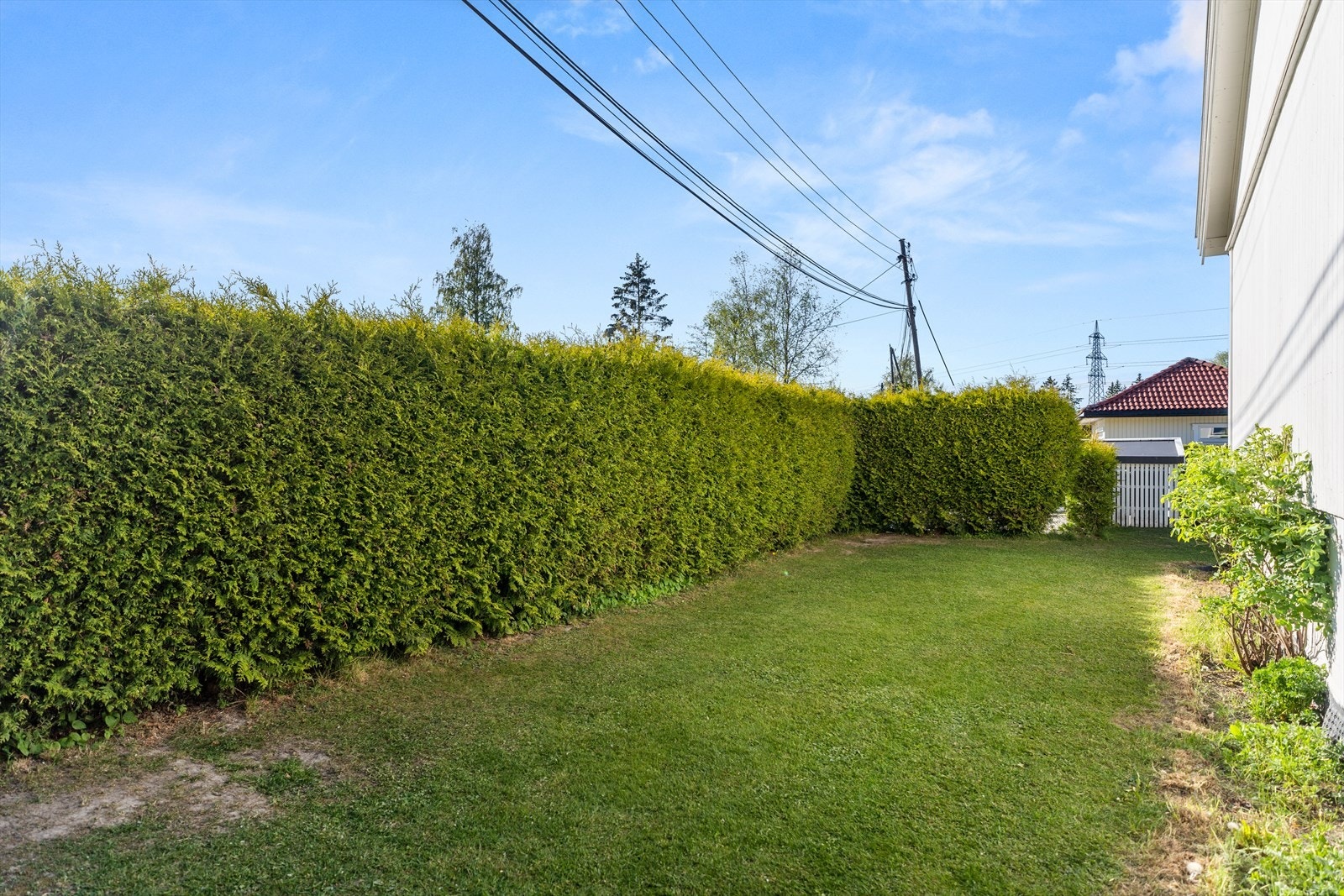 Tomten er nokså flat og lettstelt. Galleribilde