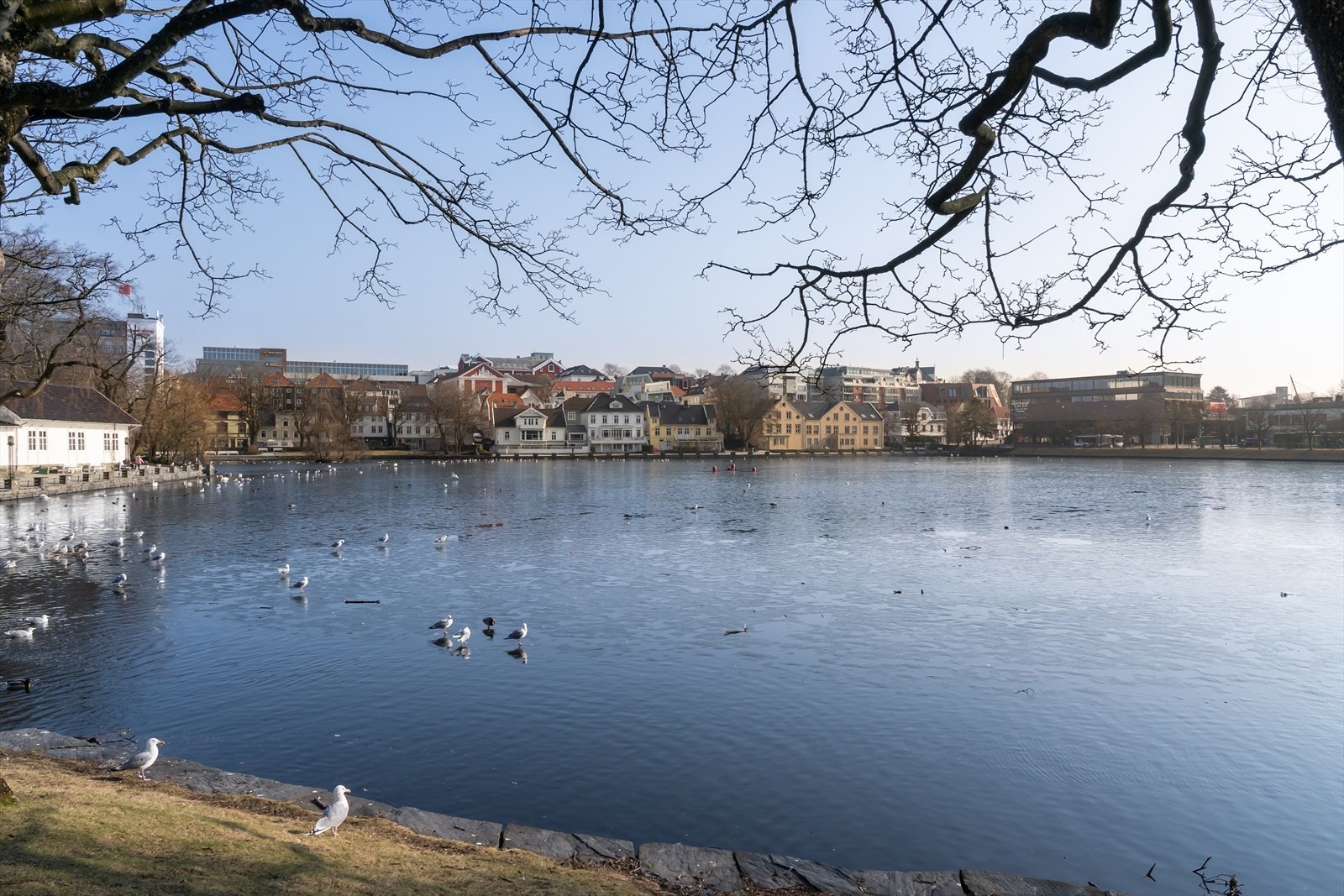 Nærområde Galleribilde