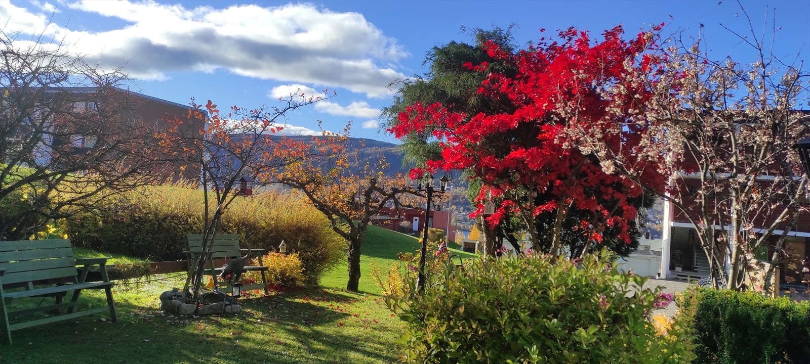 Tomten er beplantet med blomster, busker og trær som skaper en frodig ramme. Galleribilde