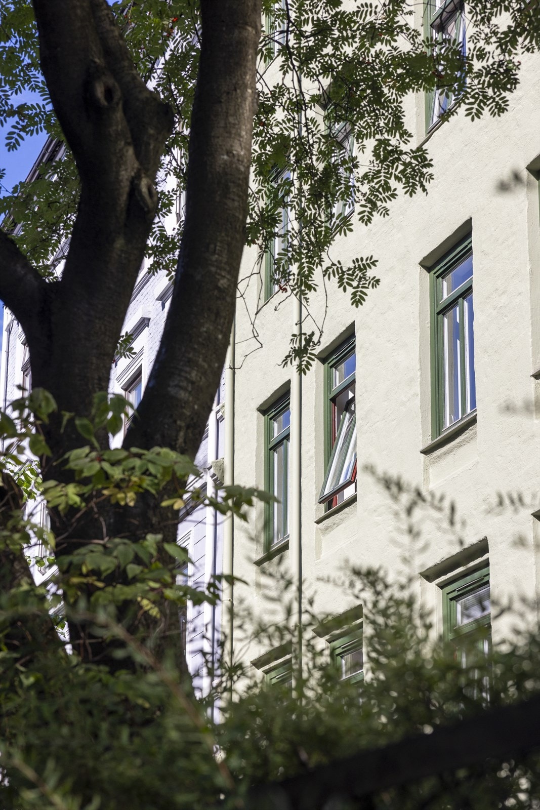 Borettslaget disponerer en forhage. Galleribilde