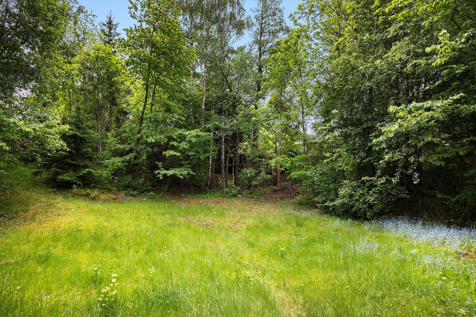 Hagen har flatere partier med gress. Galleribilde