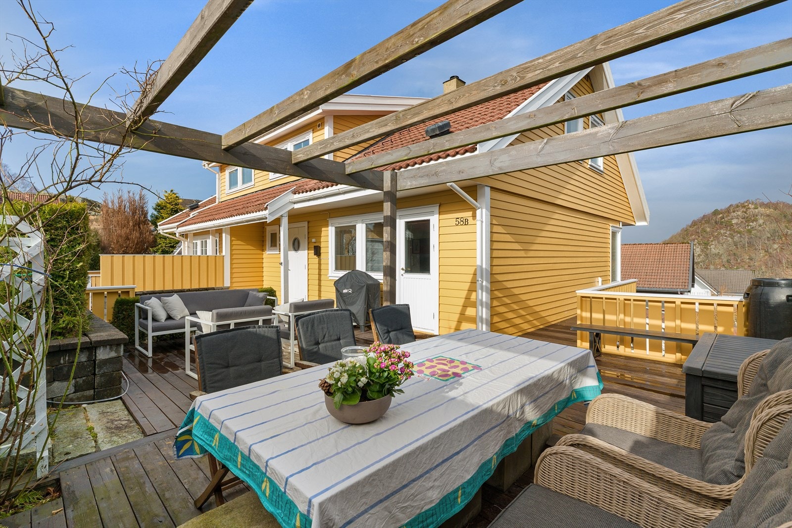 Enkel beplantning, inkludert klatreroser og svært produktive rips- og solbærbusker. Galleribilde