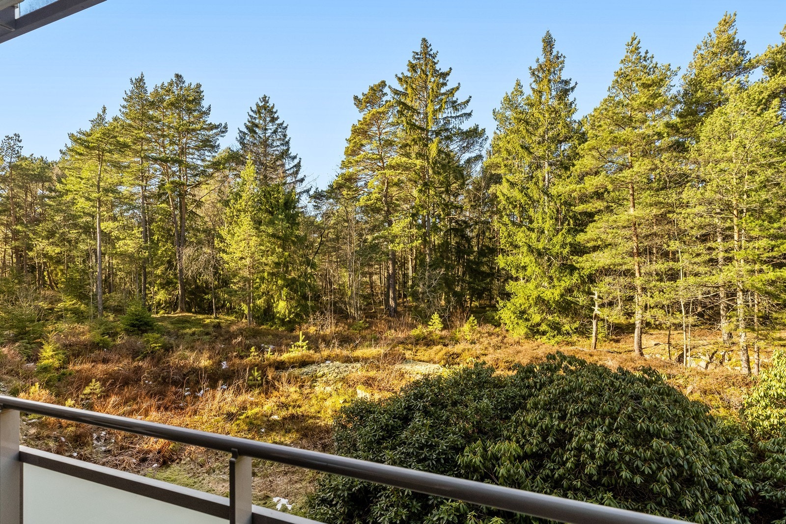 Her bor du med umiddelbar nærhet til flotte turmuligheter i skog og mark. Galleribilde