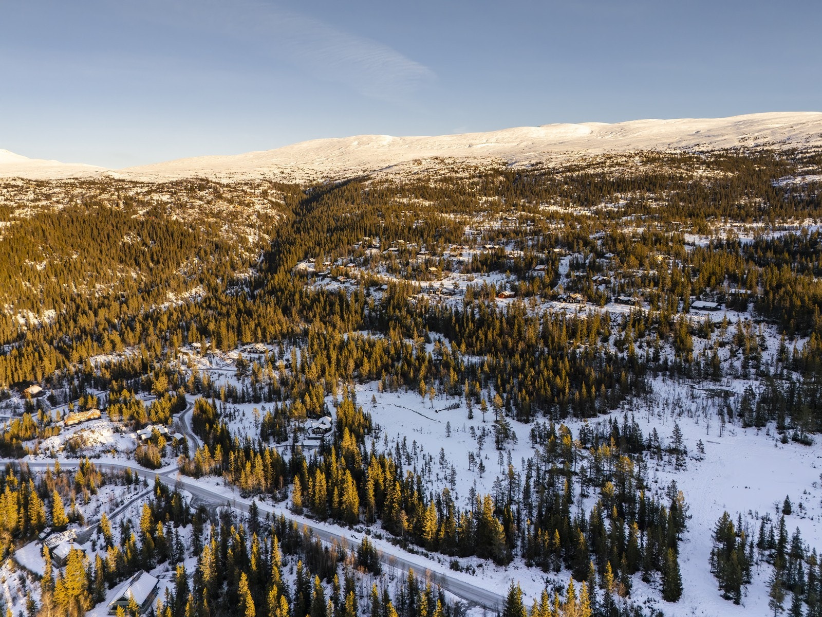 Velkommen til en hyggelig visning! Galleribilde