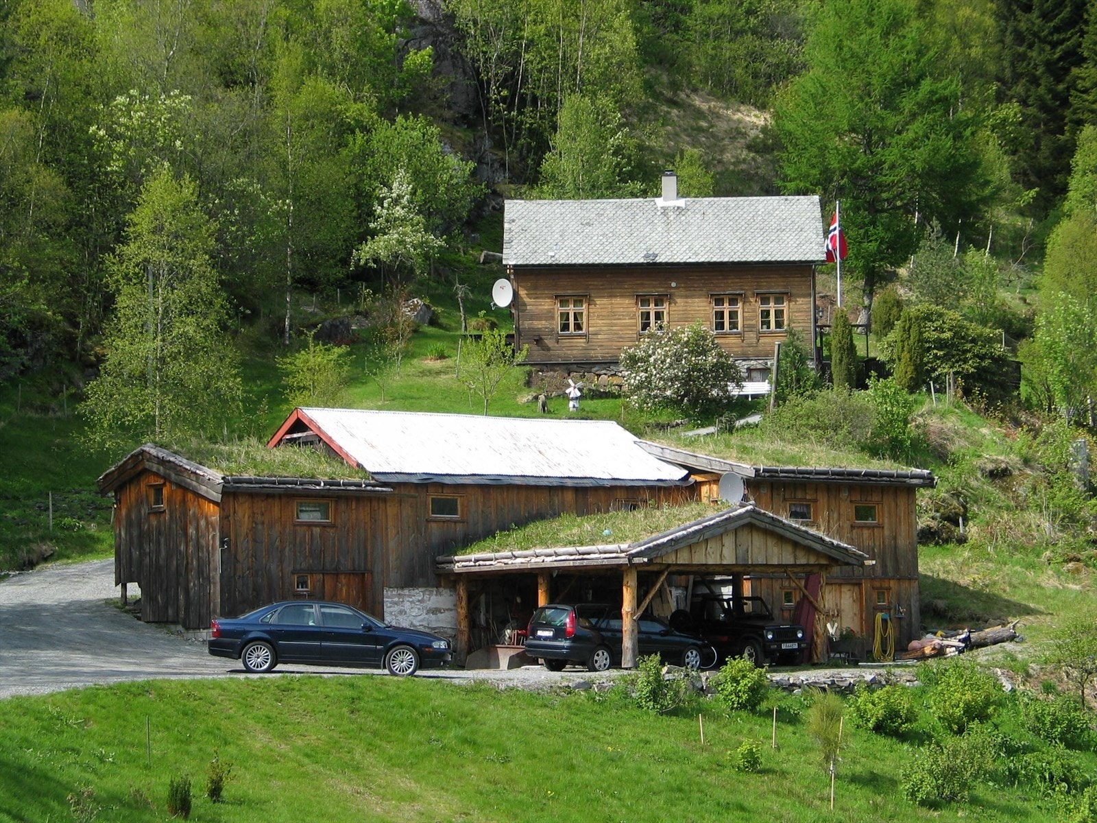 Eigedomen i sommardrakt (Bilde frå seljar) Galleribilde