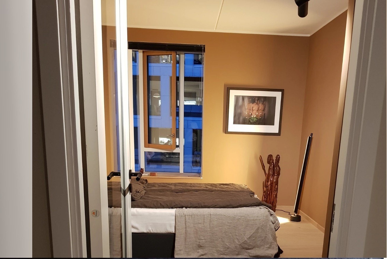 Hovedsoverom sett fra entre. Hele rommet, tak og vegger er malt i den lune fargen Adventure. Vindu går ut mot Operagata/Eufemias hage som normalt er stille og rolig.
MERK: Møblene følger ikke med Galleribilde
