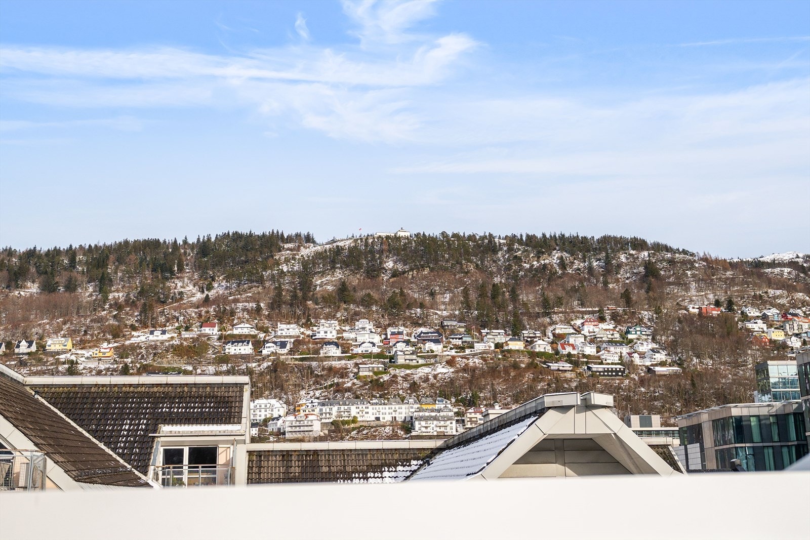 Utsikt mot fløien Galleribilde