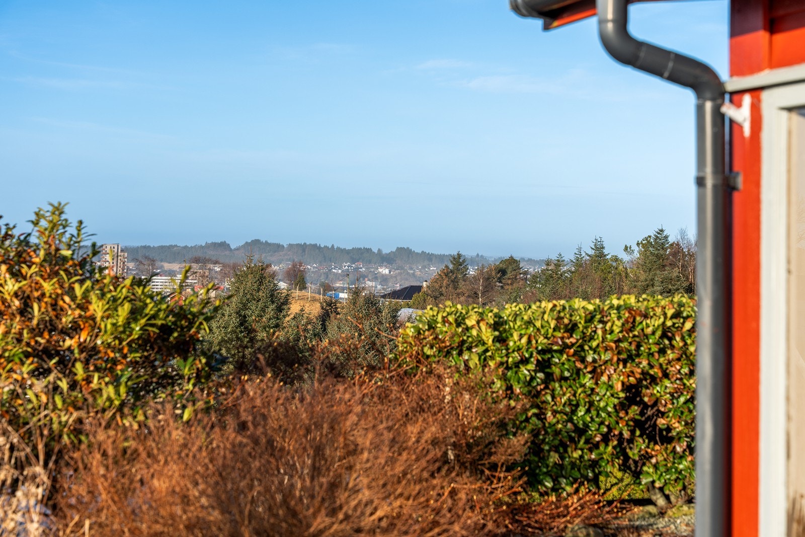 Utsikt. Galleribilde